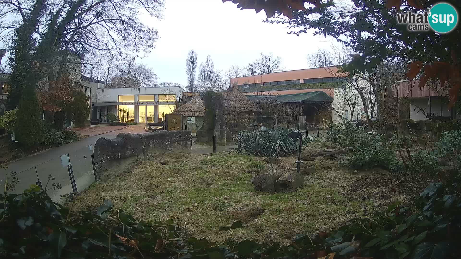 Zoo Zagreb – Suricate