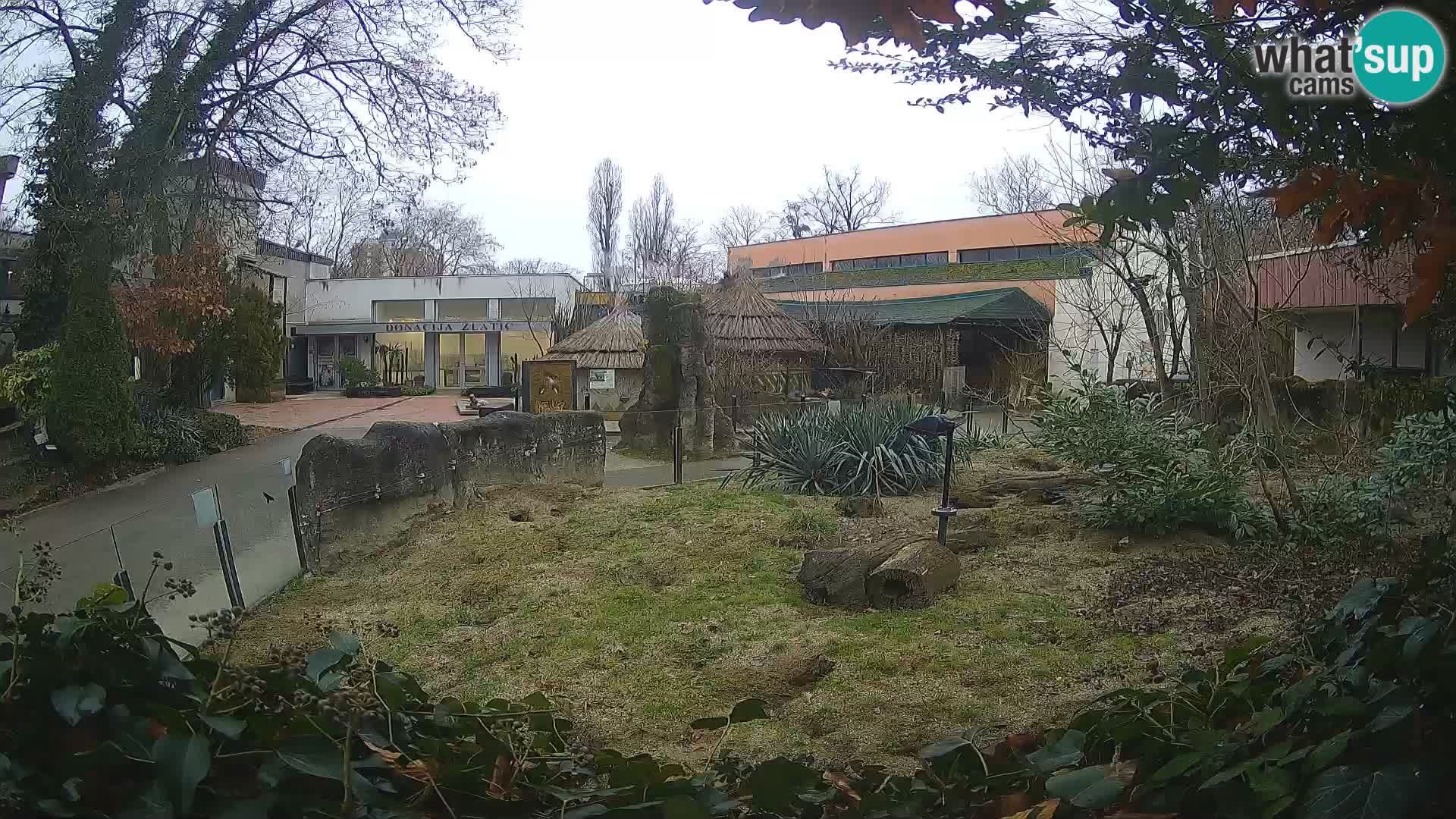 Zoo Zagreb – Erdmännchen