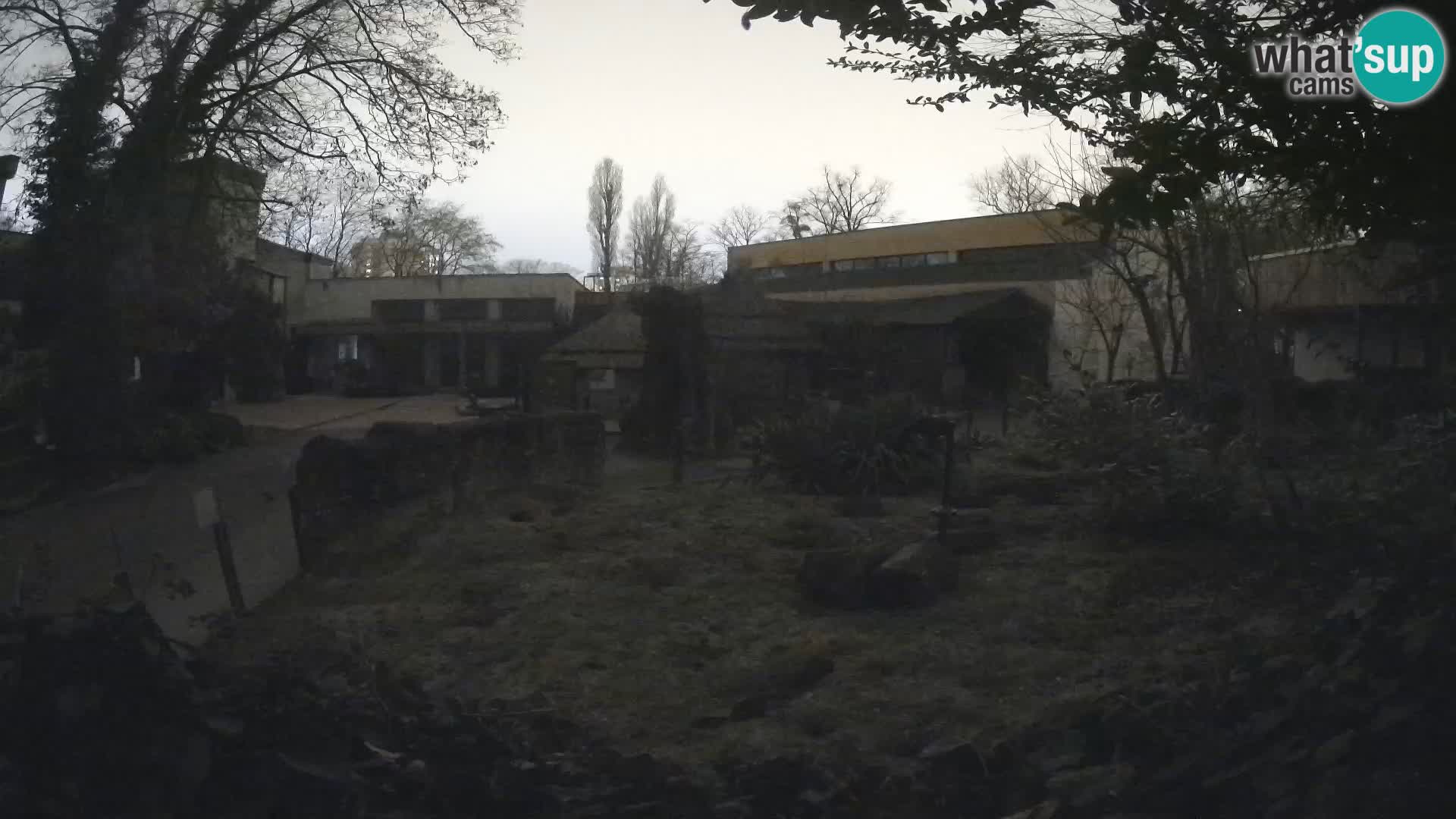 Zoo Zagreb – Erdmännchen