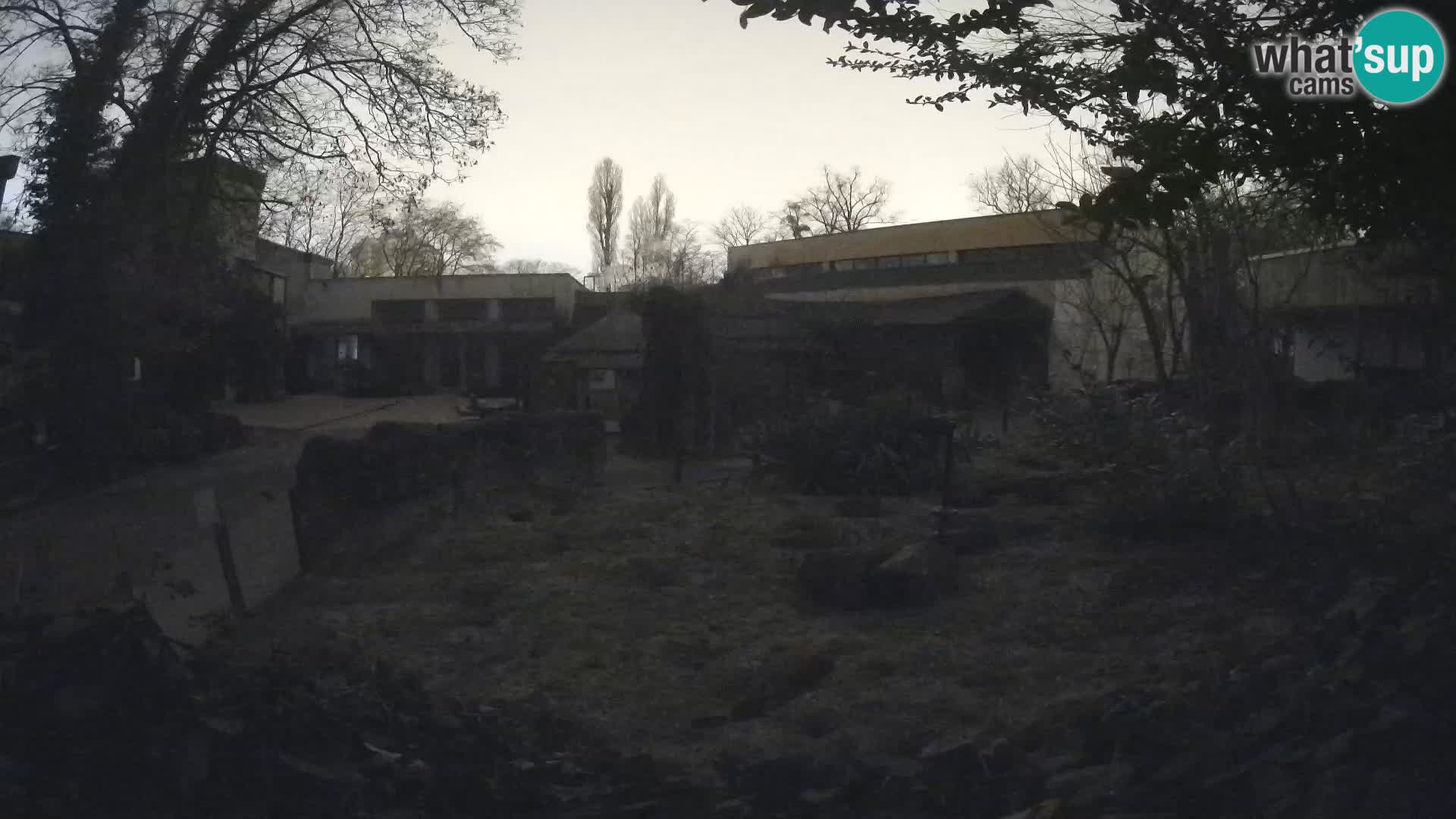 Zoo Zagreb – Erdmännchen