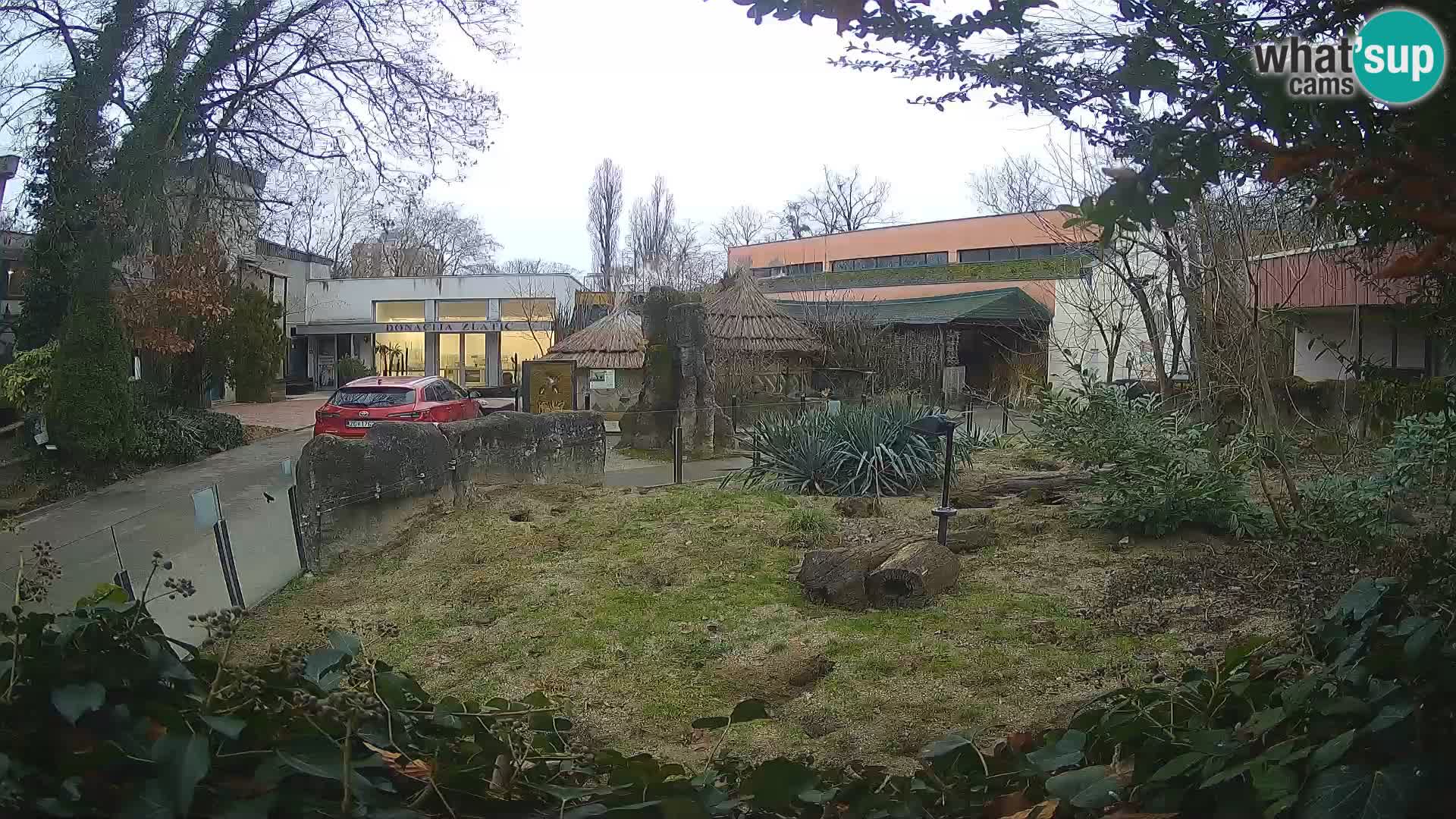 Zoo Zagreb – Surikate