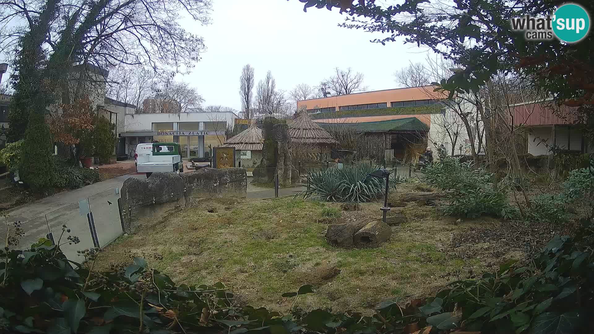 Zoo Zagreb – Surikate