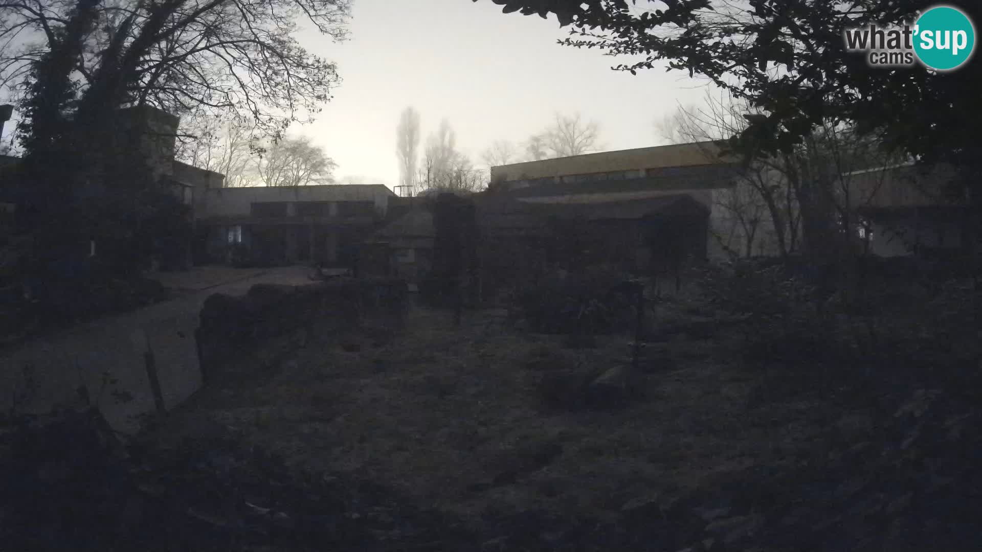 Zoo Zagreb – Erdmännchen