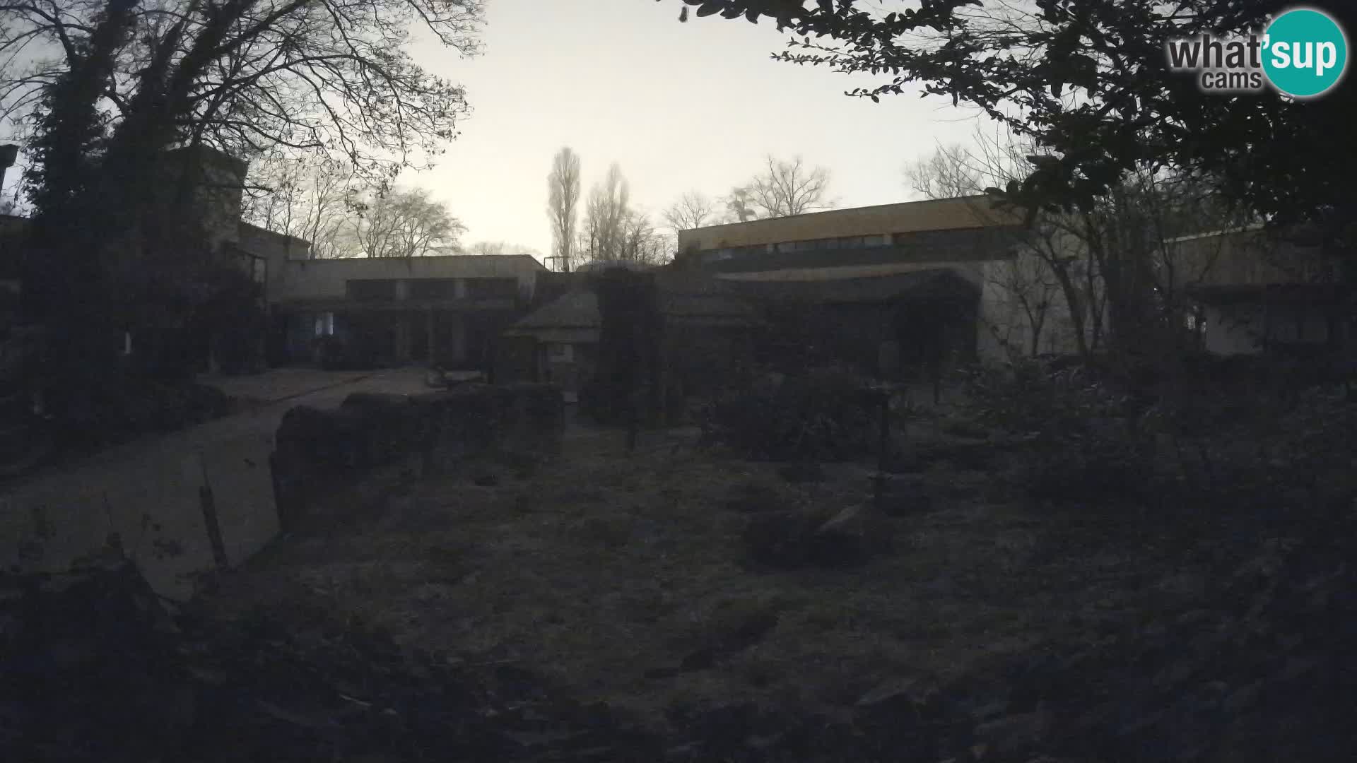 Zoo Zagreb – Erdmännchen