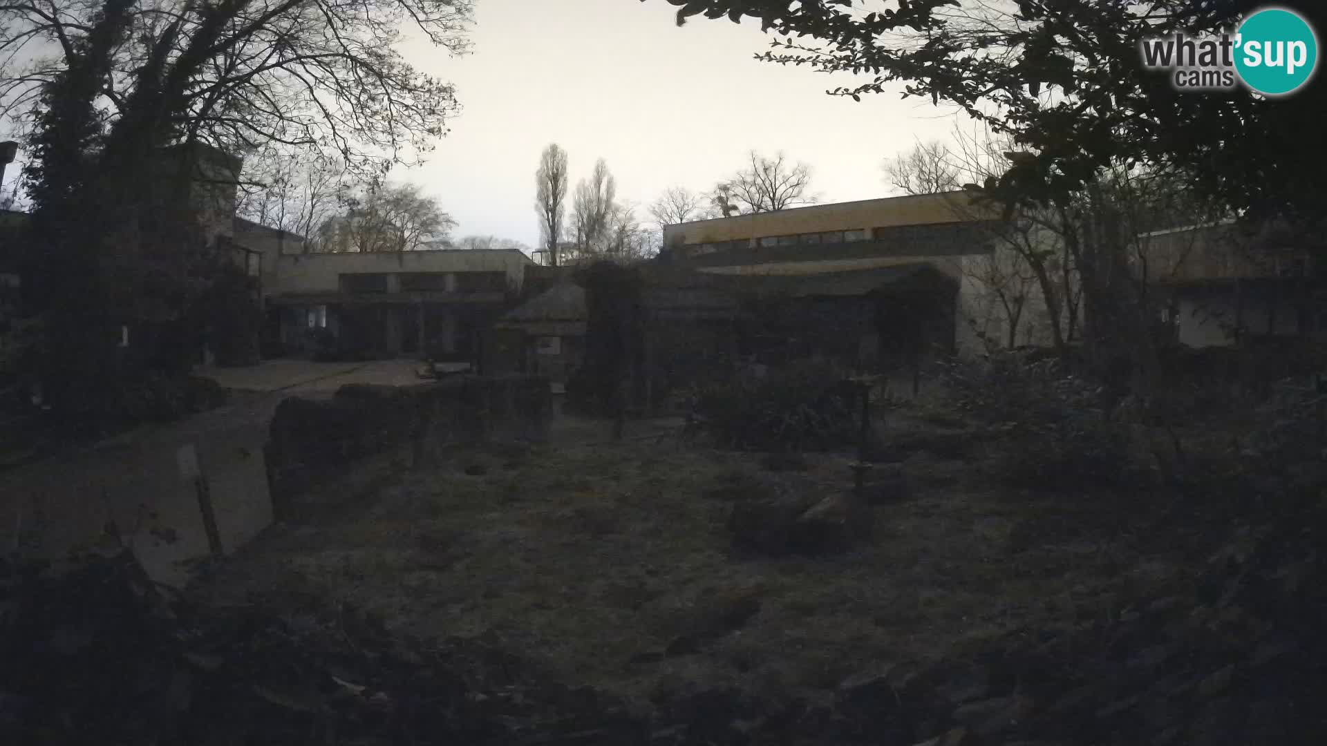 Zoo Zagreb – Erdmännchen