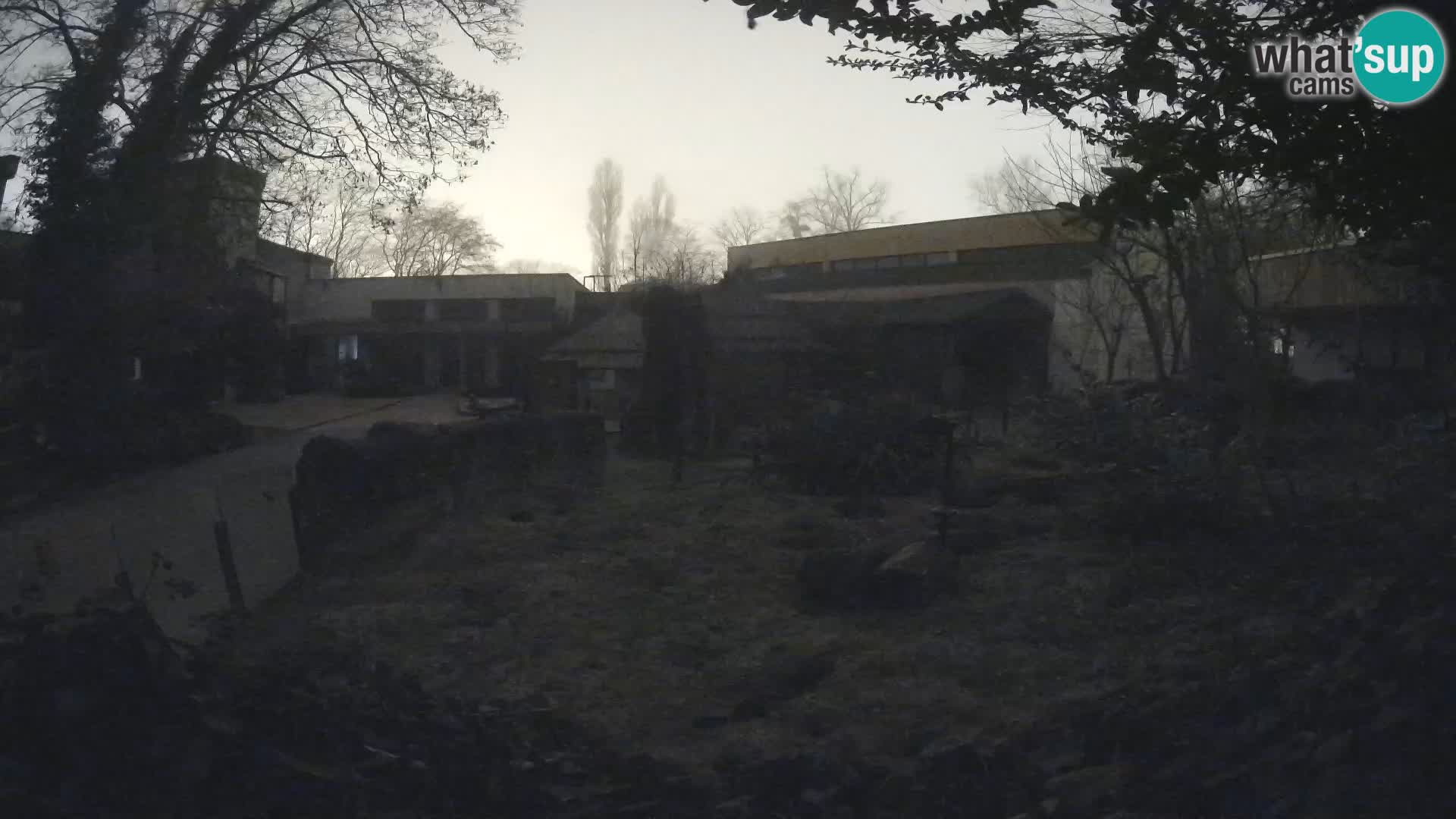 Zoo Zagreb – Erdmännchen