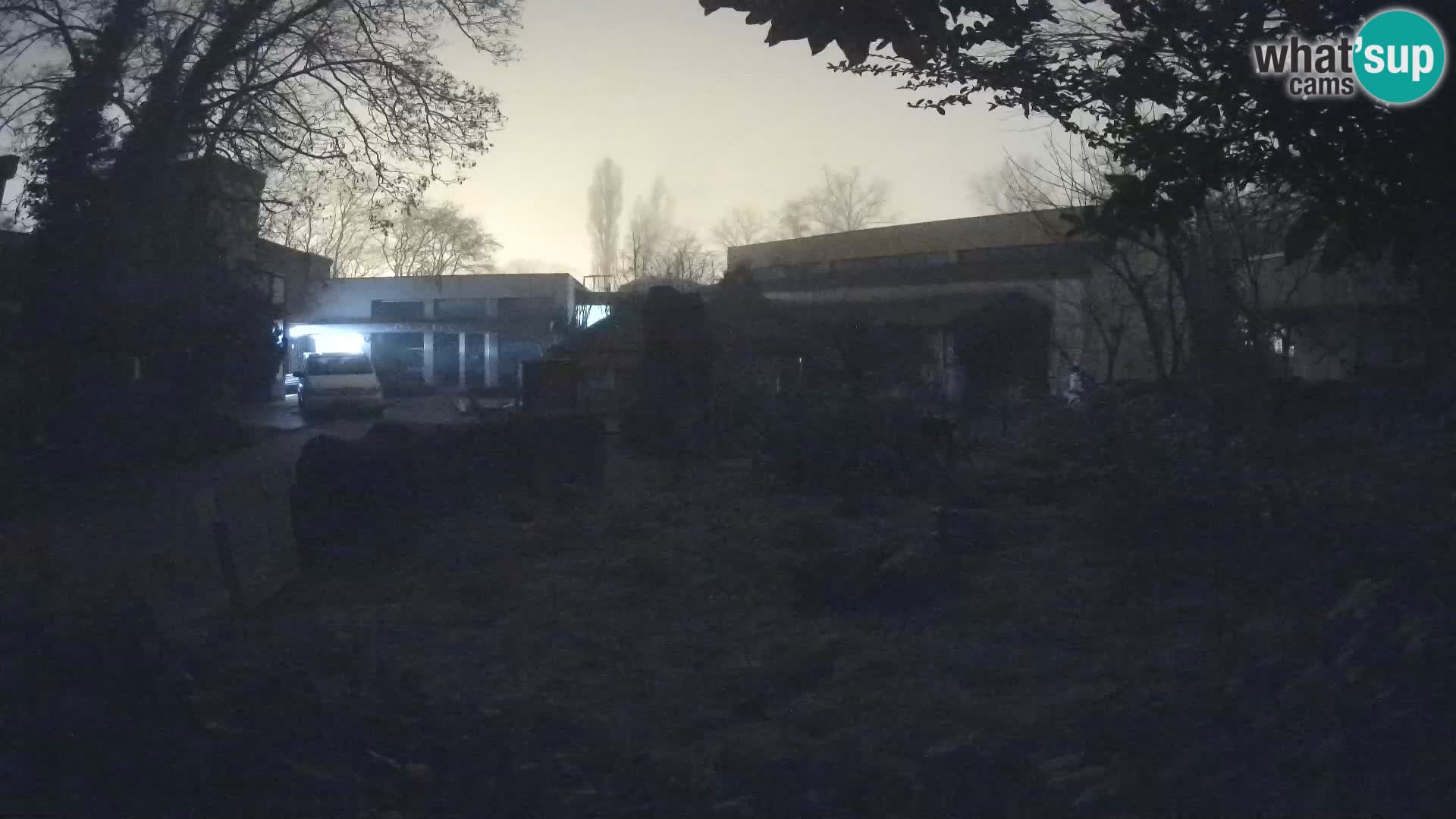 Zoo Zagreb – Surikate