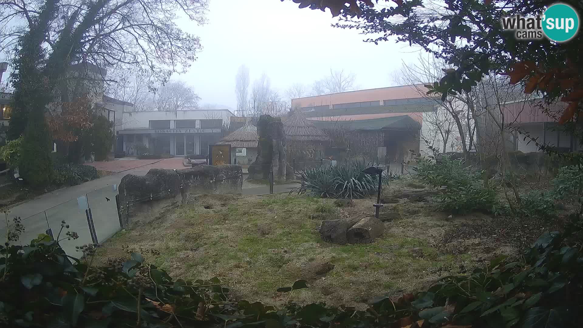 Zoo Zagreb – Erdmännchen
