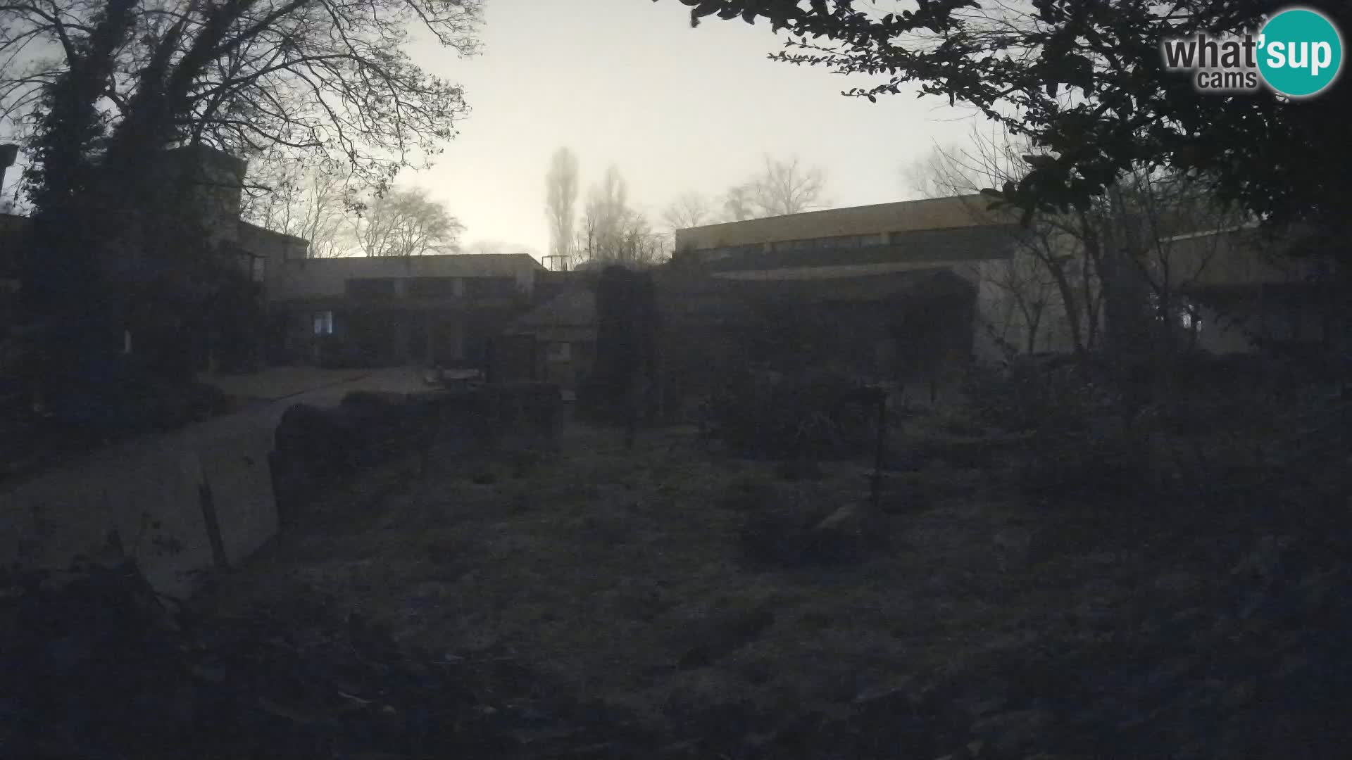 Zoo Zagreb – Erdmännchen