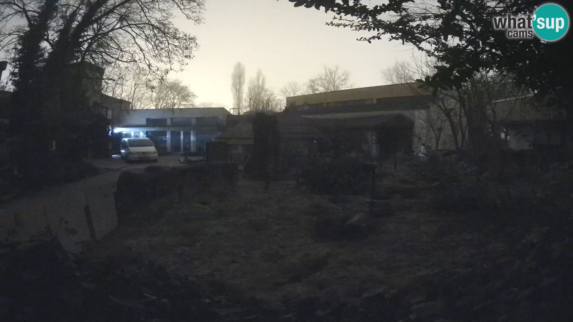 Zoo Zagreb – Surikate