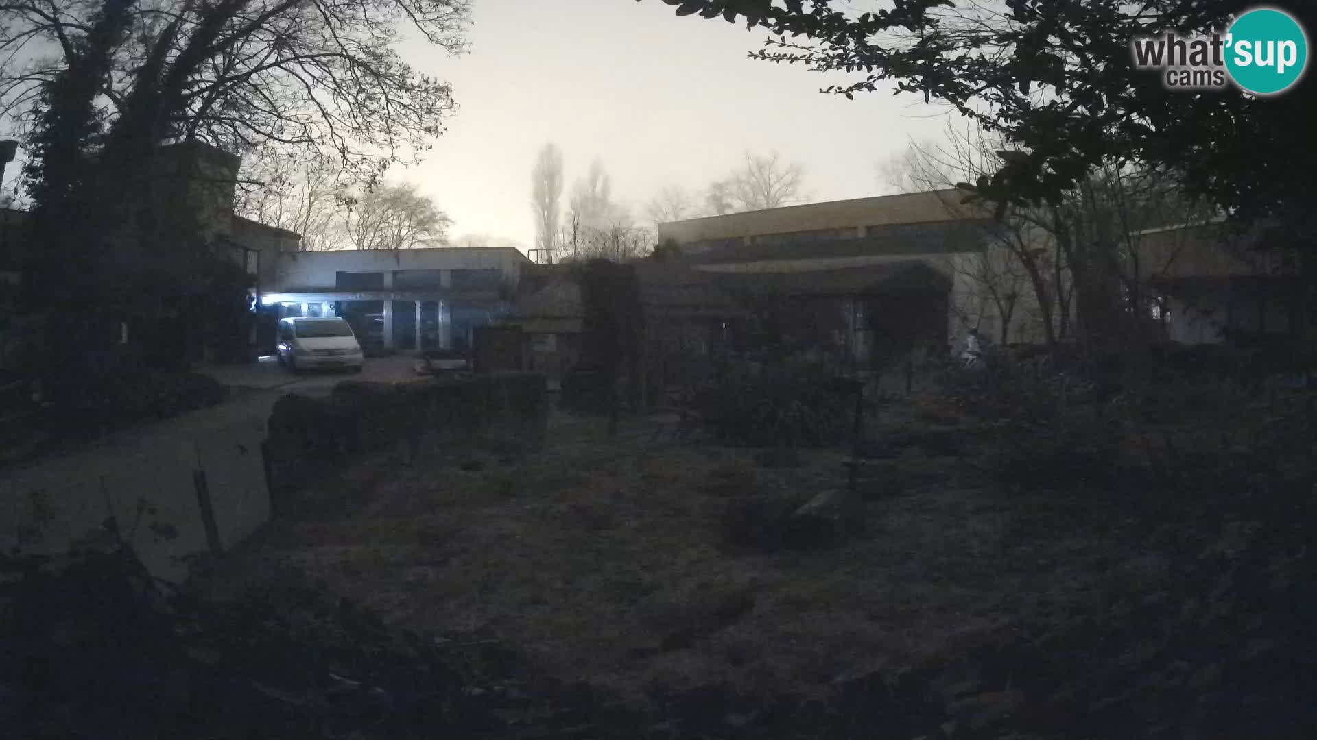 Zoo Zagreb – Erdmännchen