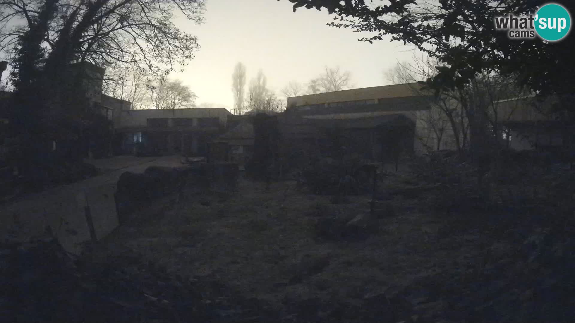 Zoo Zagreb – Erdmännchen