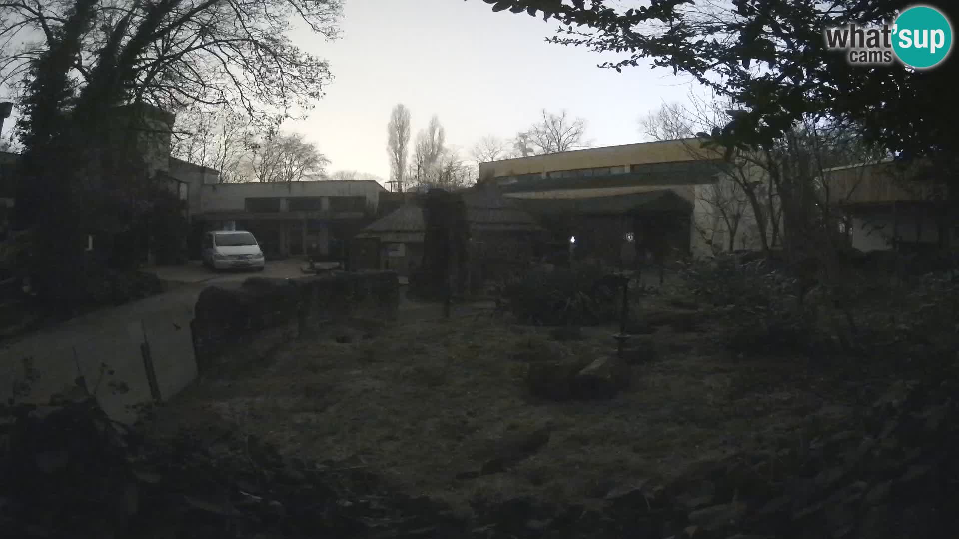 Zoo Zagreb – Erdmännchen