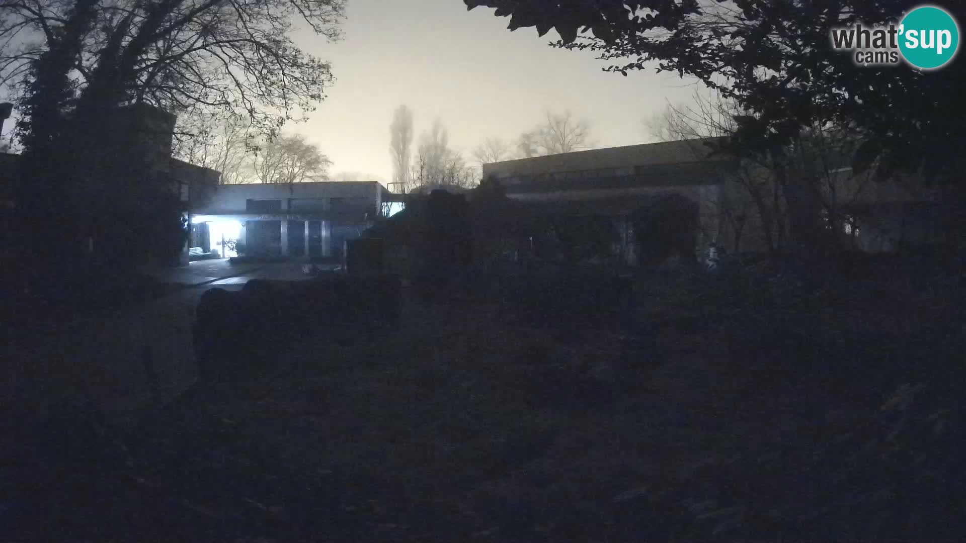 Zoo Zagreb – Surikate