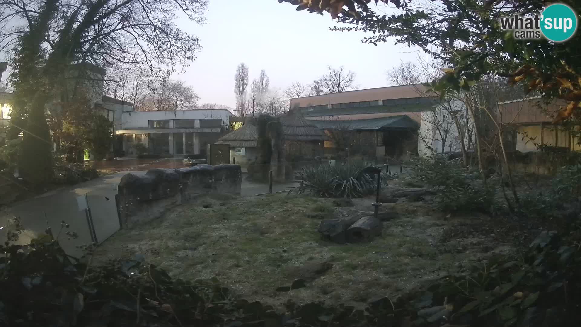 Zoo Zagreb – Erdmännchen