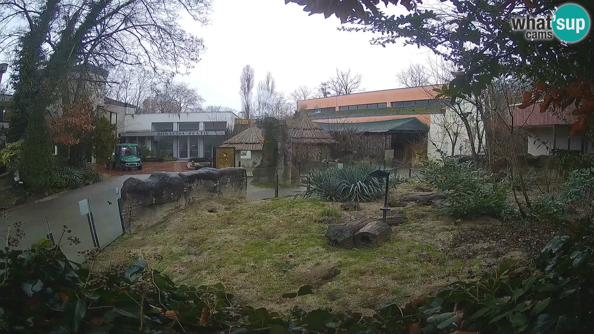 Zoo Zagreb – Surikate