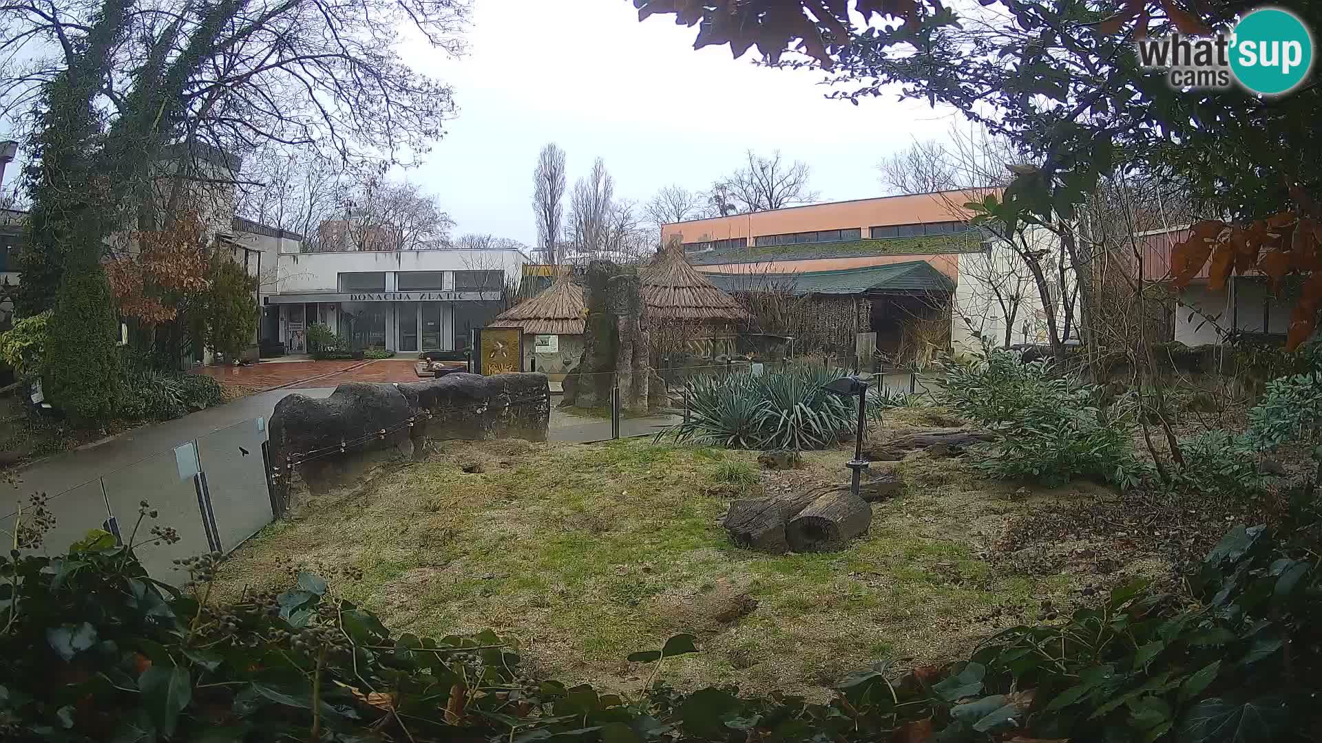 Zoo Zagreb – Erdmännchen