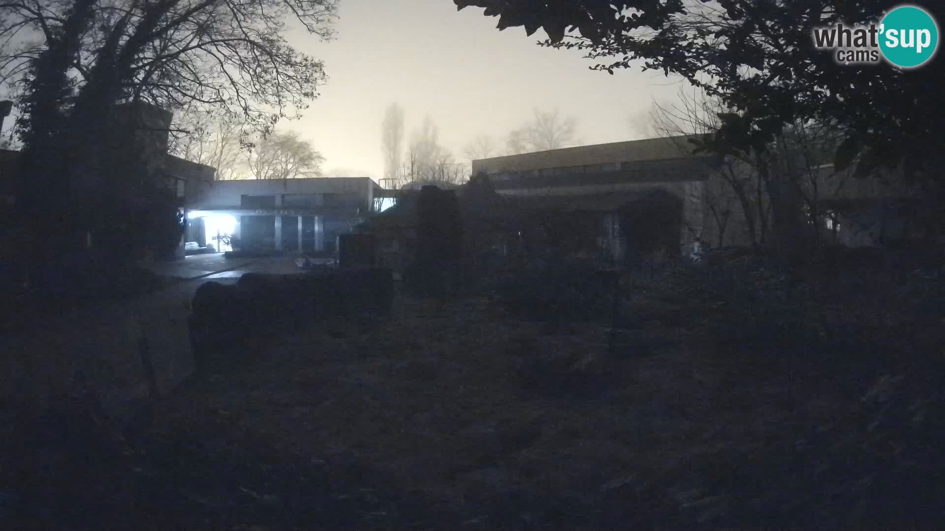 Zoo Zagreb – Erdmännchen