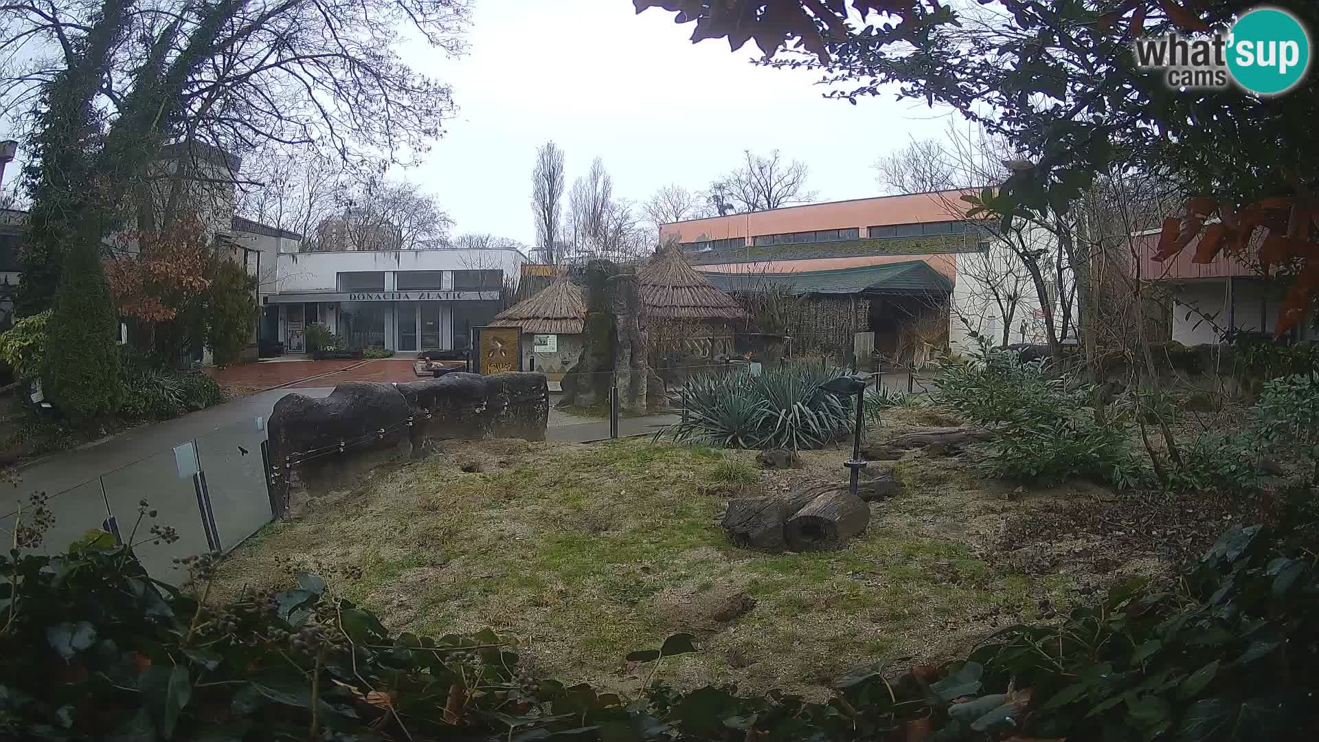 Zoo Zagreb – Erdmännchen