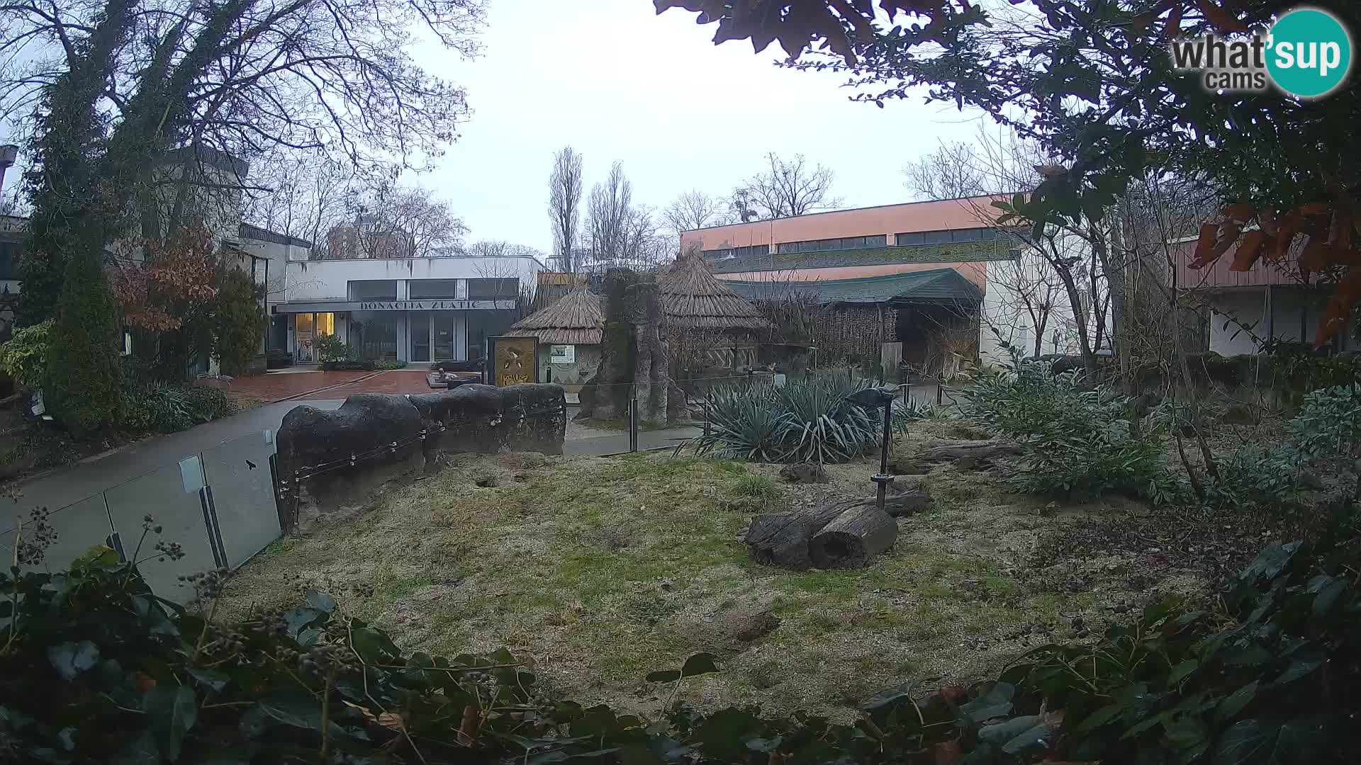 Zoo Zagreb – Erdmännchen
