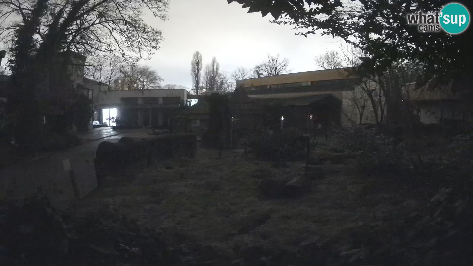 Zoo Zagreb – Merkat