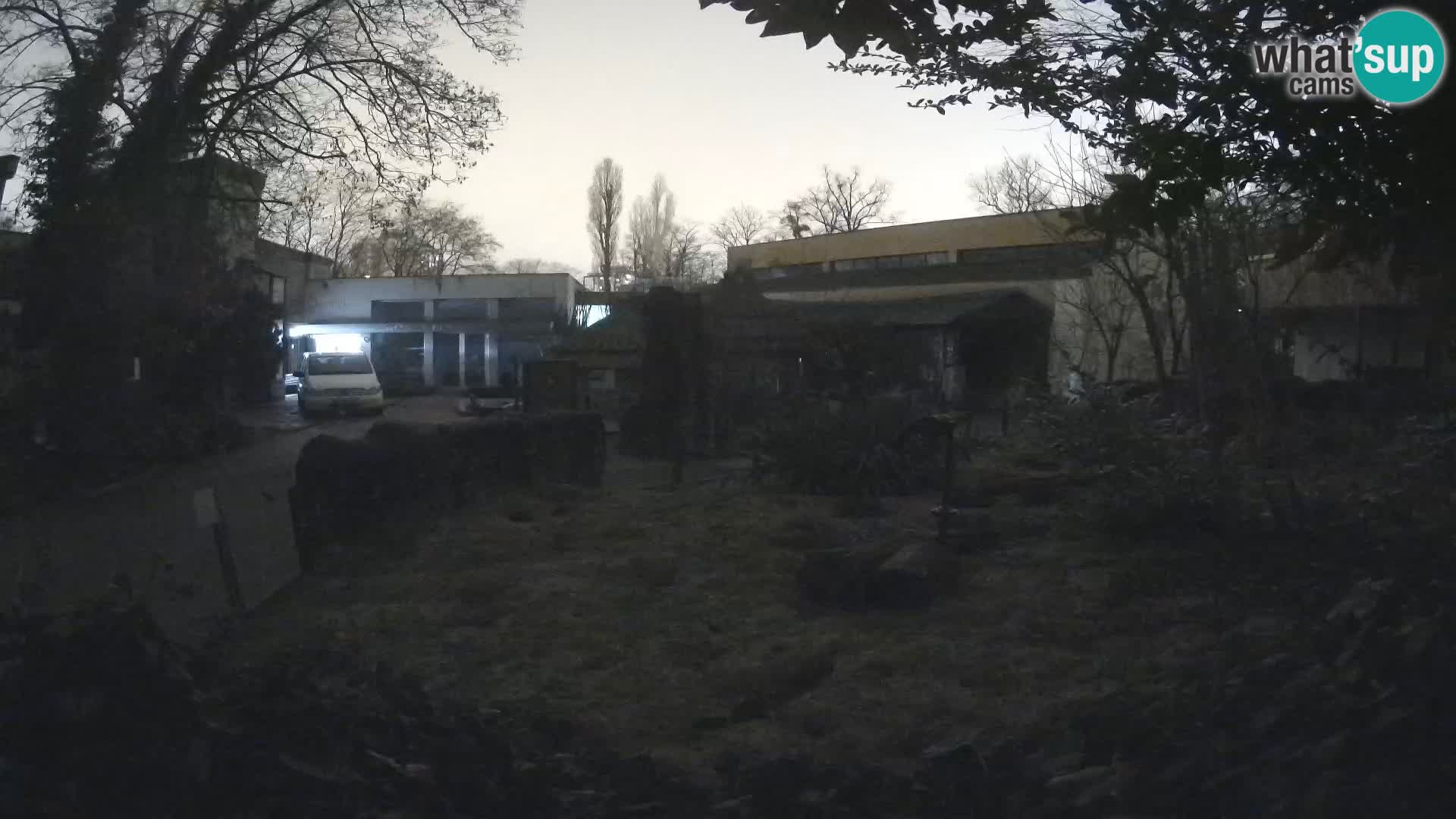 Zoo Zagreb – Erdmännchen