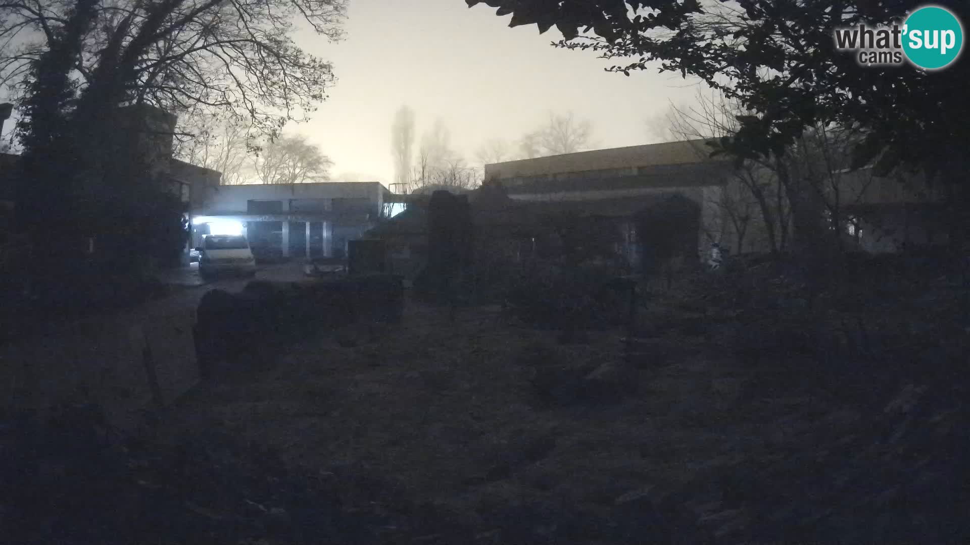 Zoo Zagreb – Erdmännchen