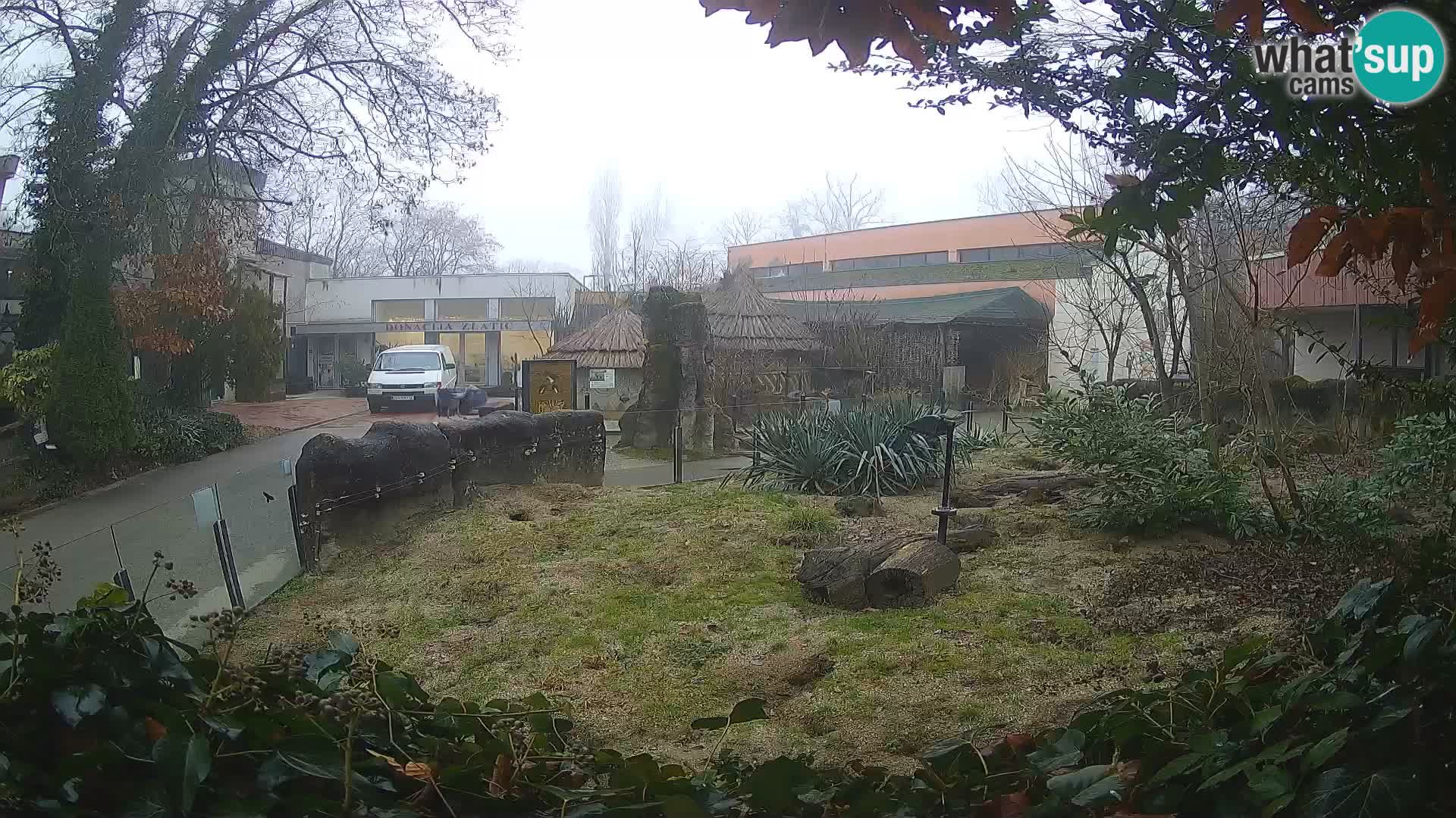 Zoo Zagreb – Surikate