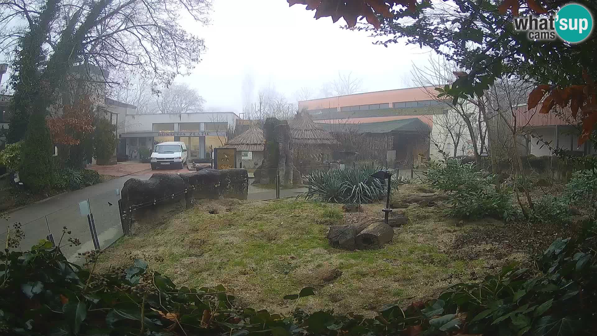 Zoo Zagreb – Merkat