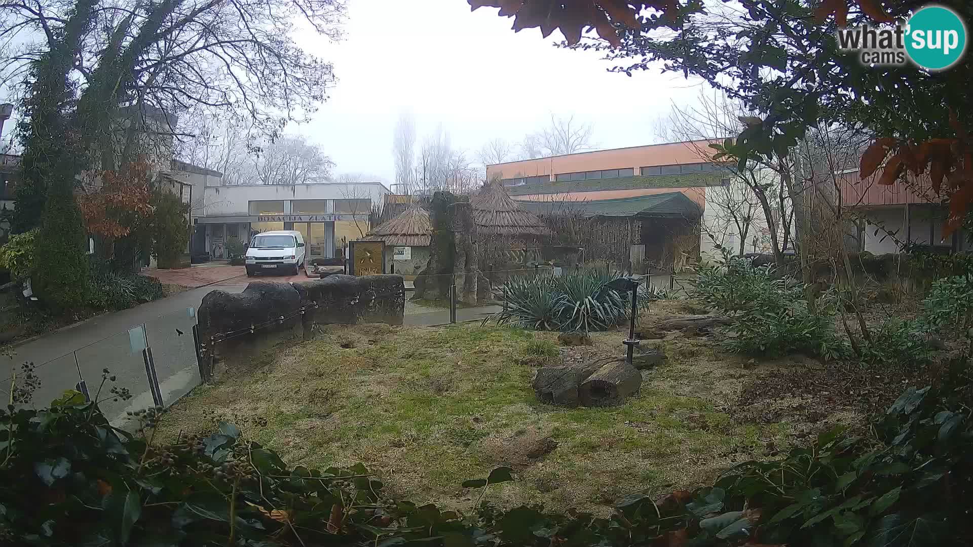 Zoo Zagreb – Merkat