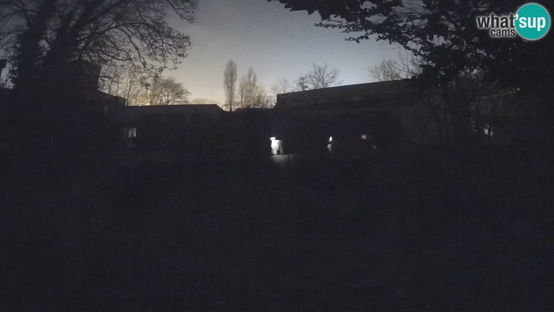 Zoo Zagreb – Suricata