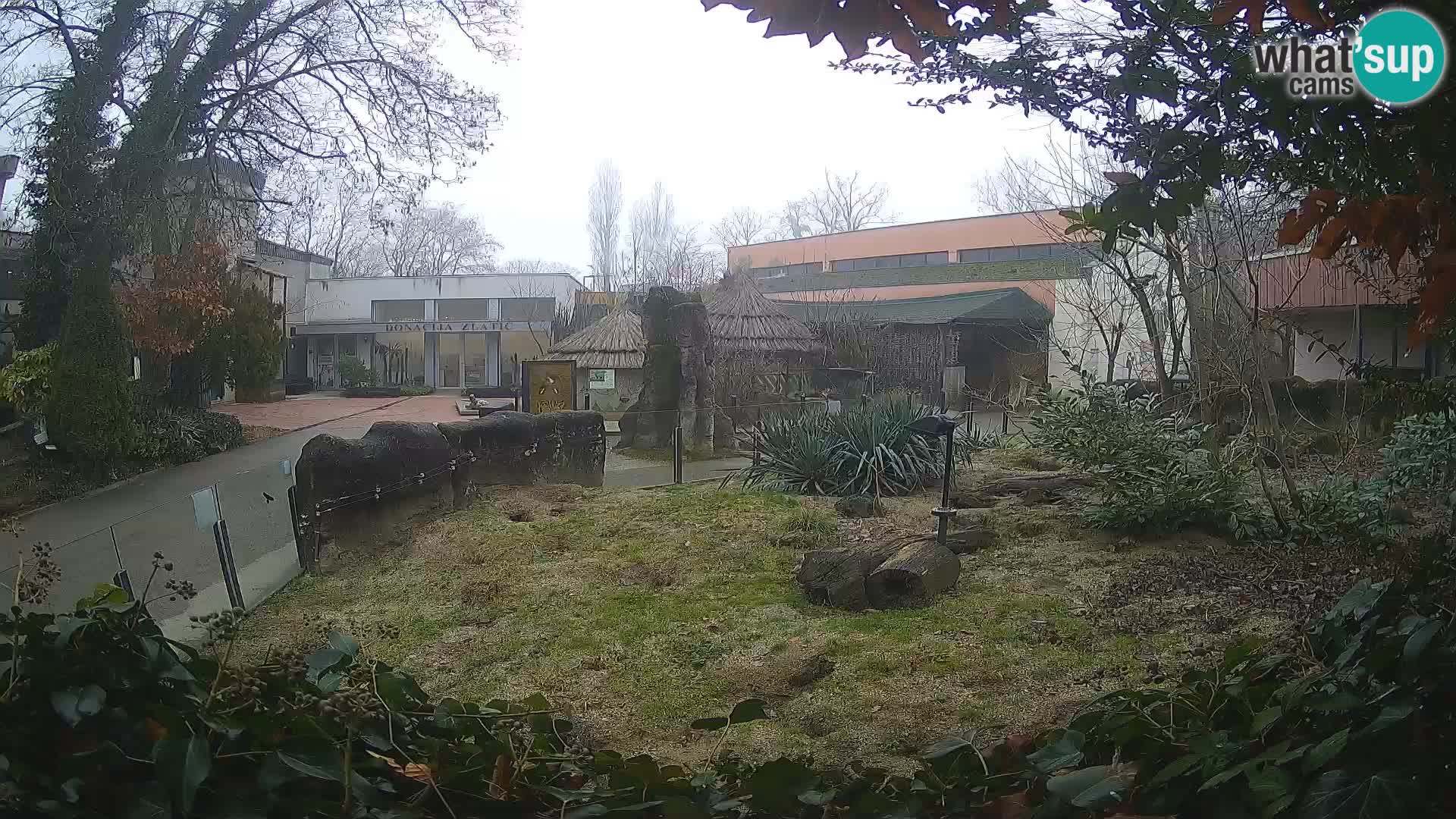 Zoo Zagreb – Merkat