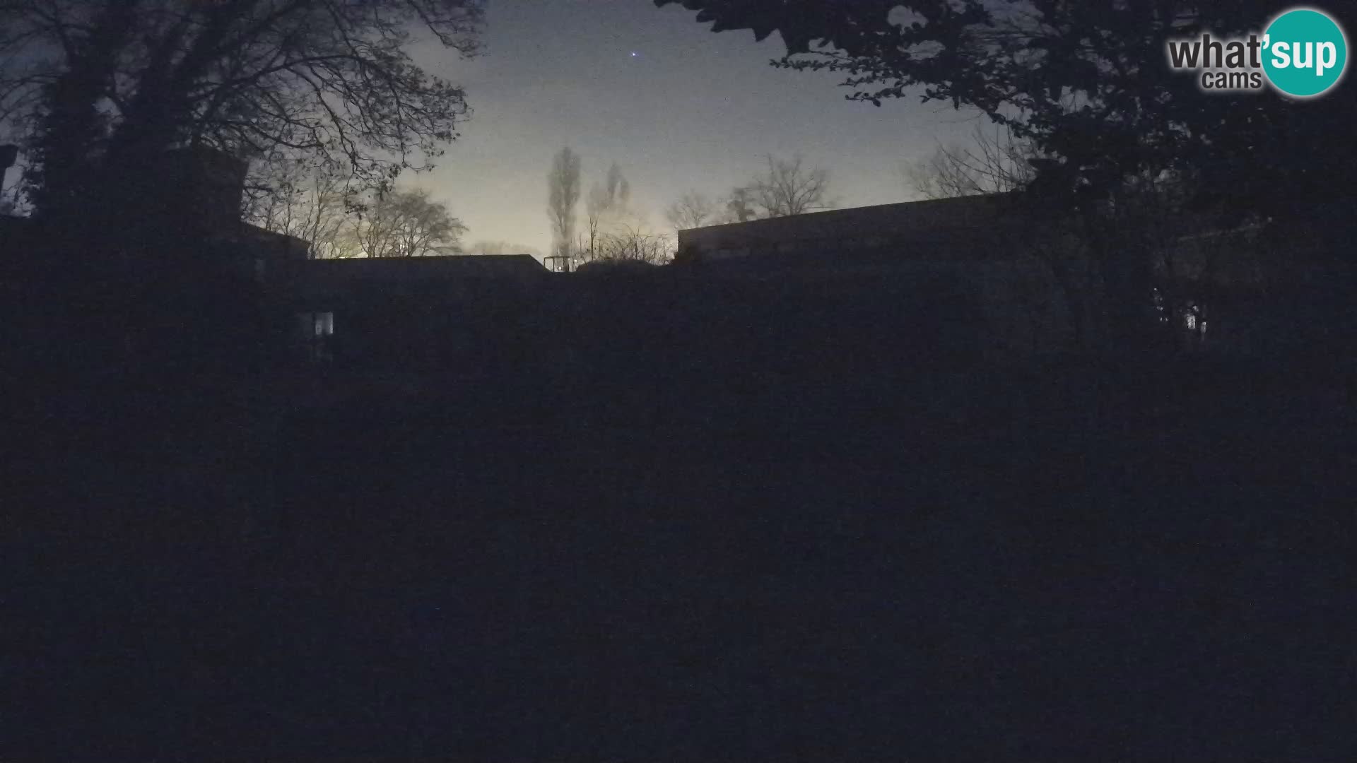 Zoo Zagreb – Surikate