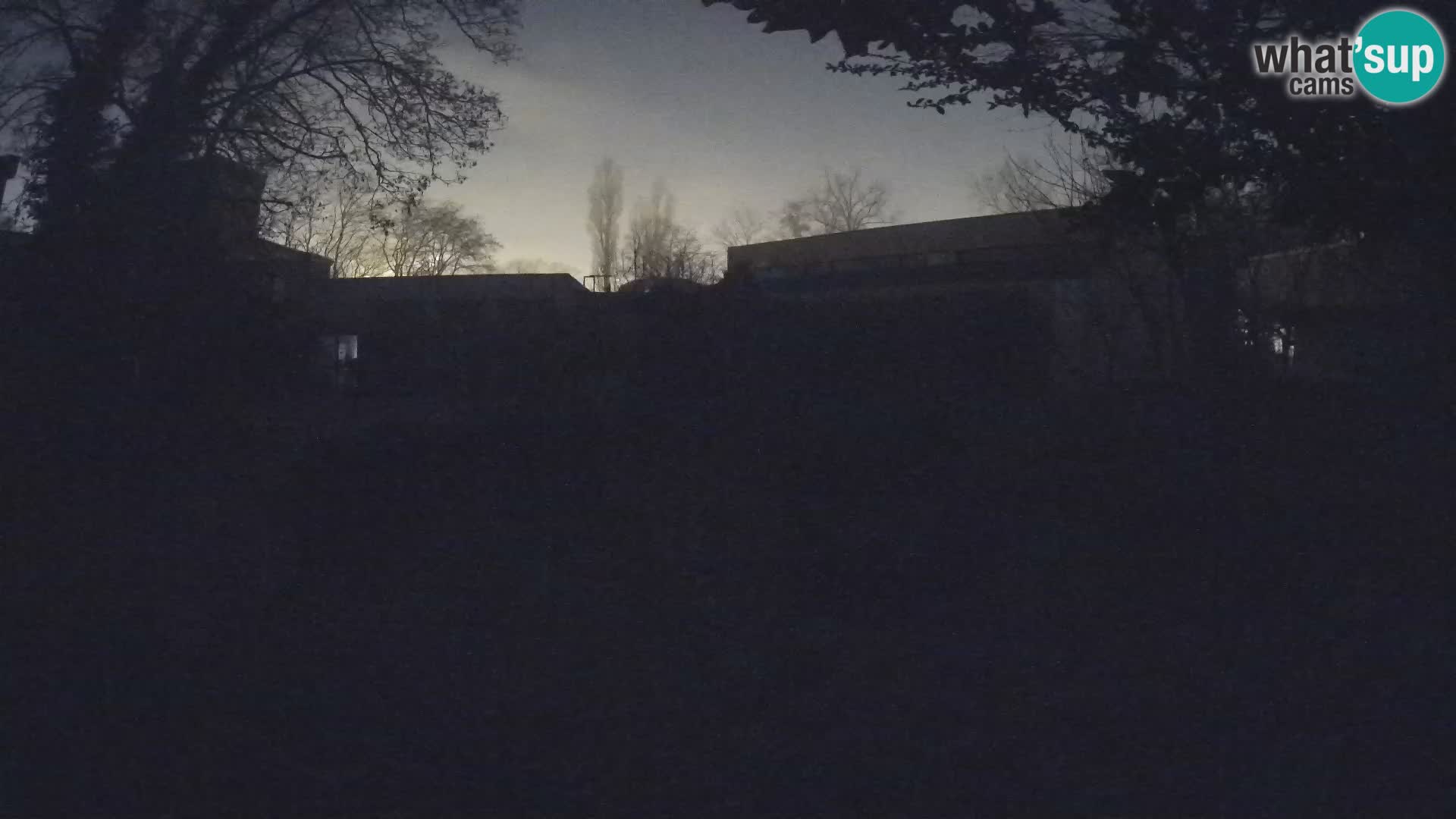 Zoo Zagreb – Surikate