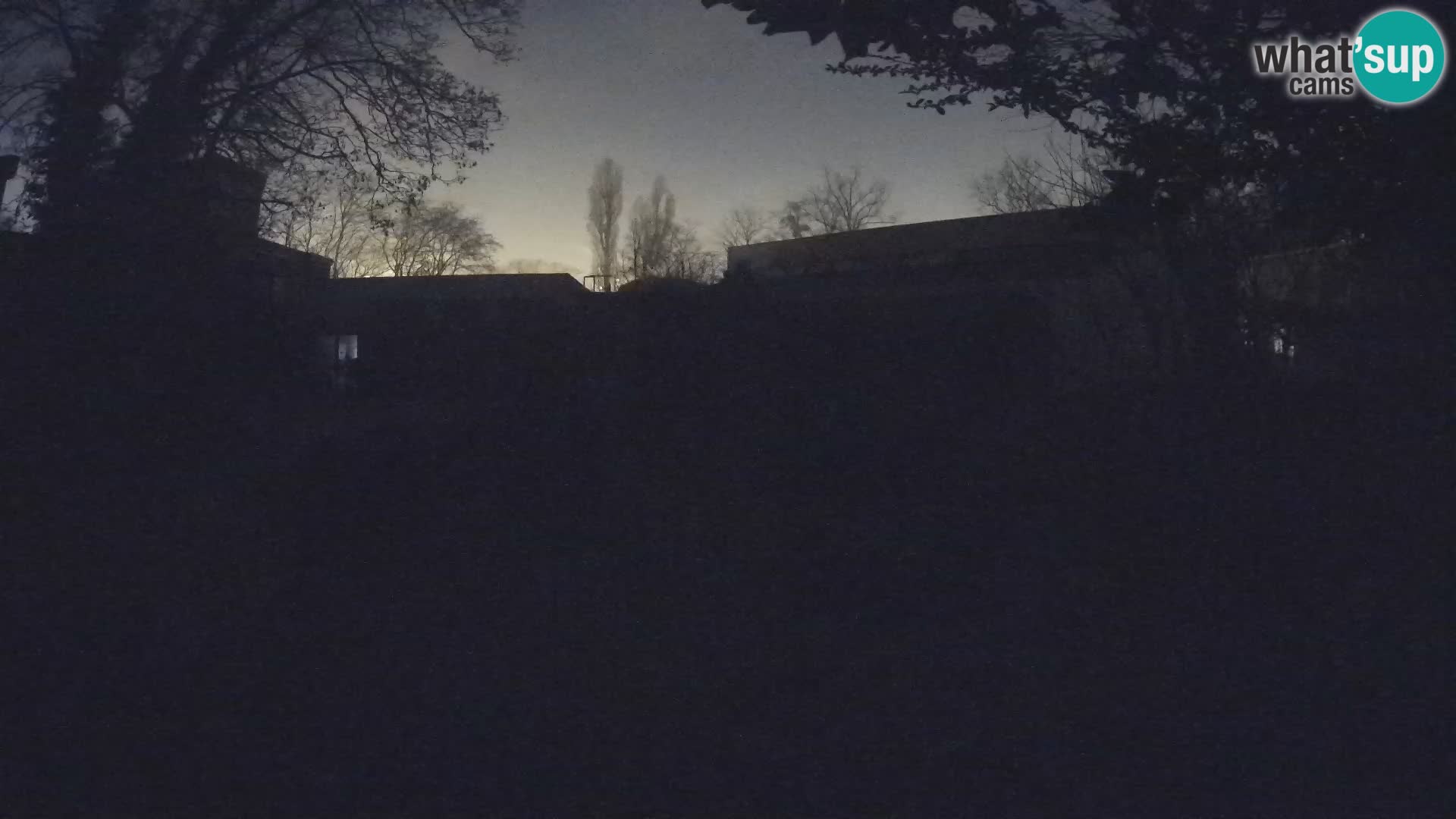 Zoo Zagreb – Merkat