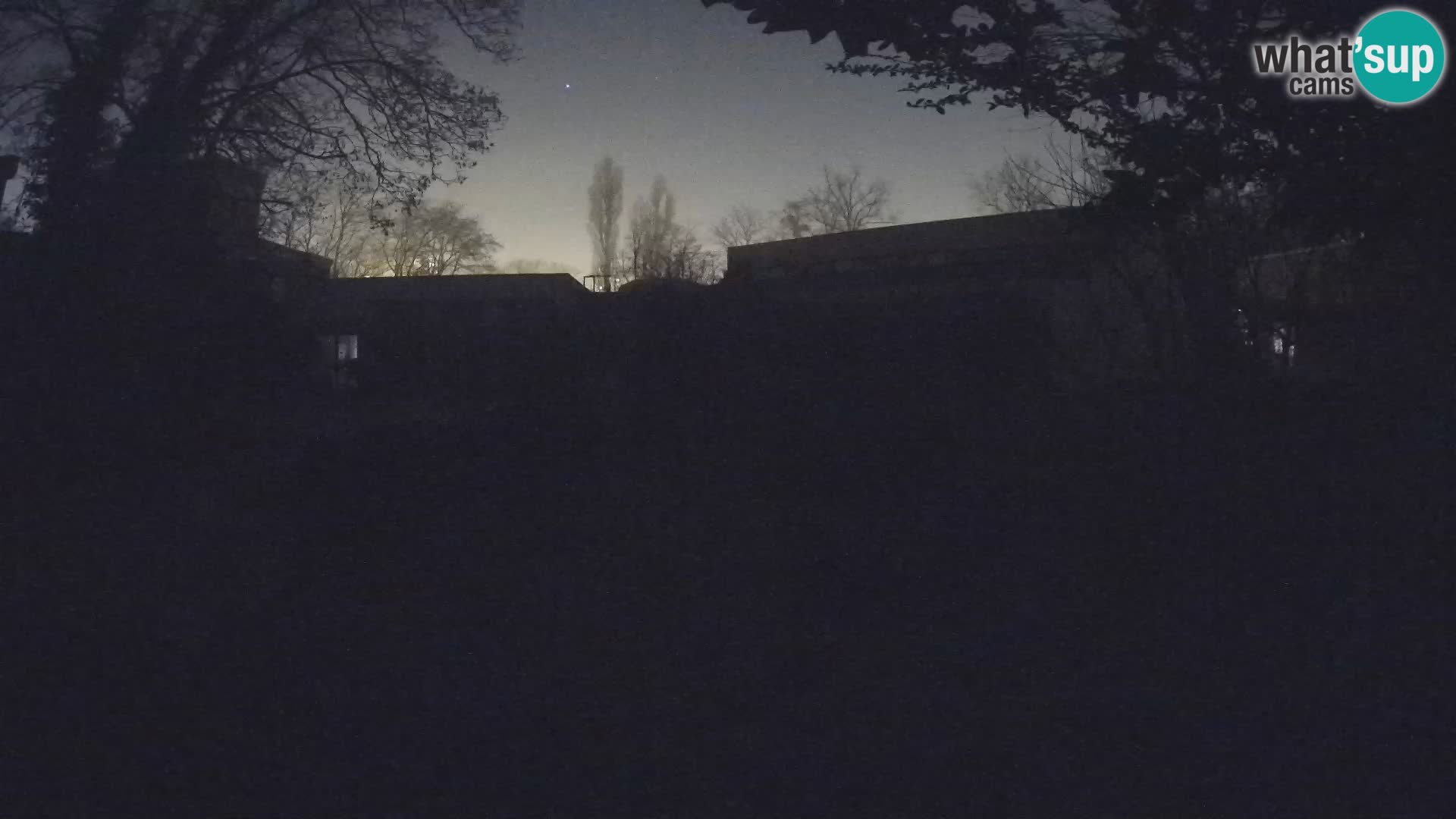 Zoo Zagreb – Suricata