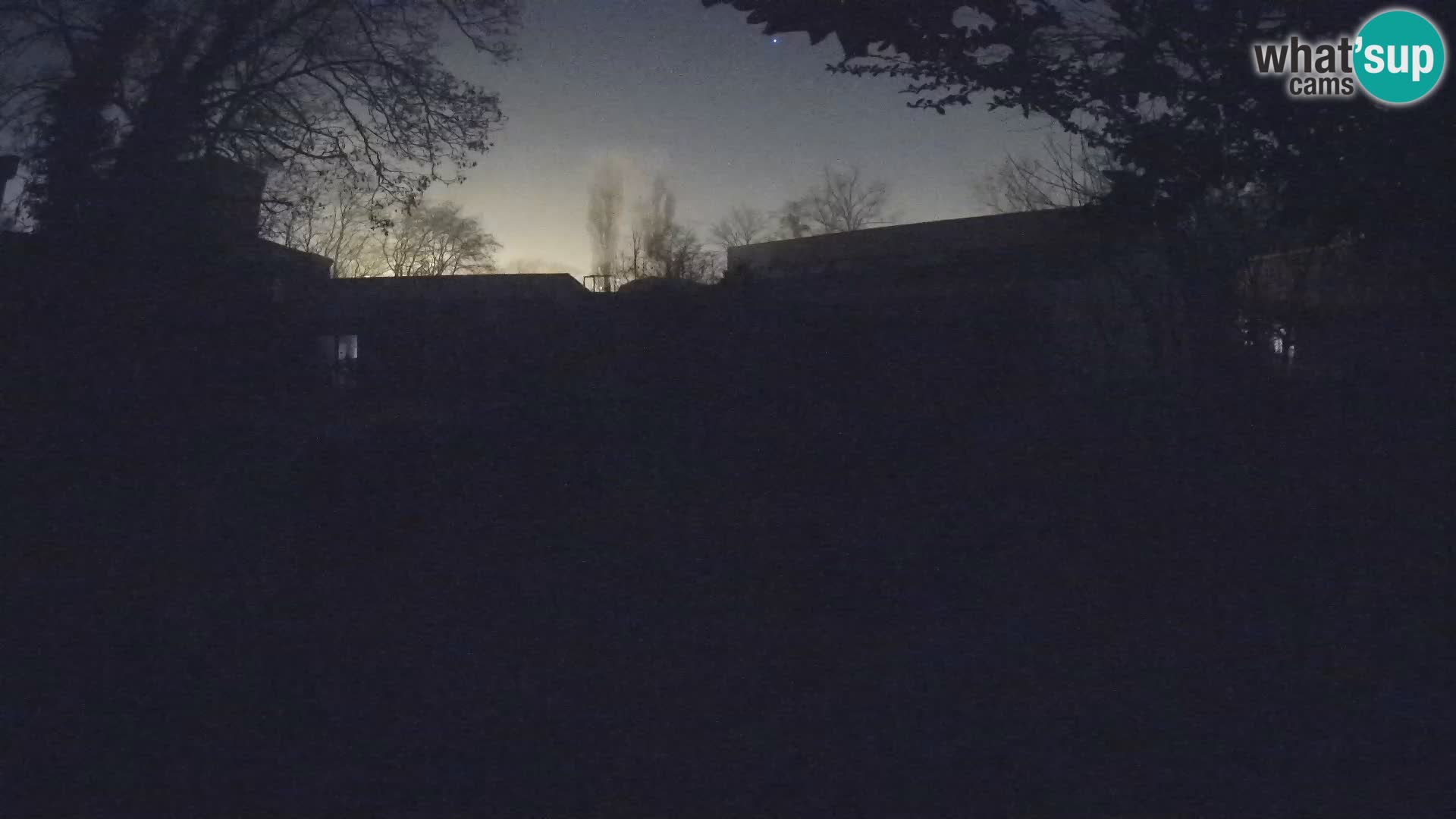 Zoo Zagreb – Suricate