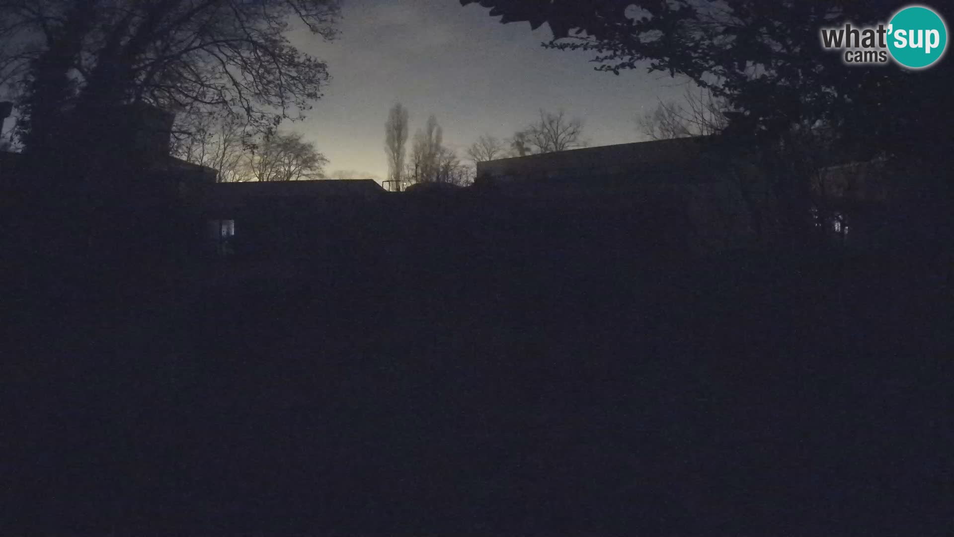 Zoo Zagreb – Surikate