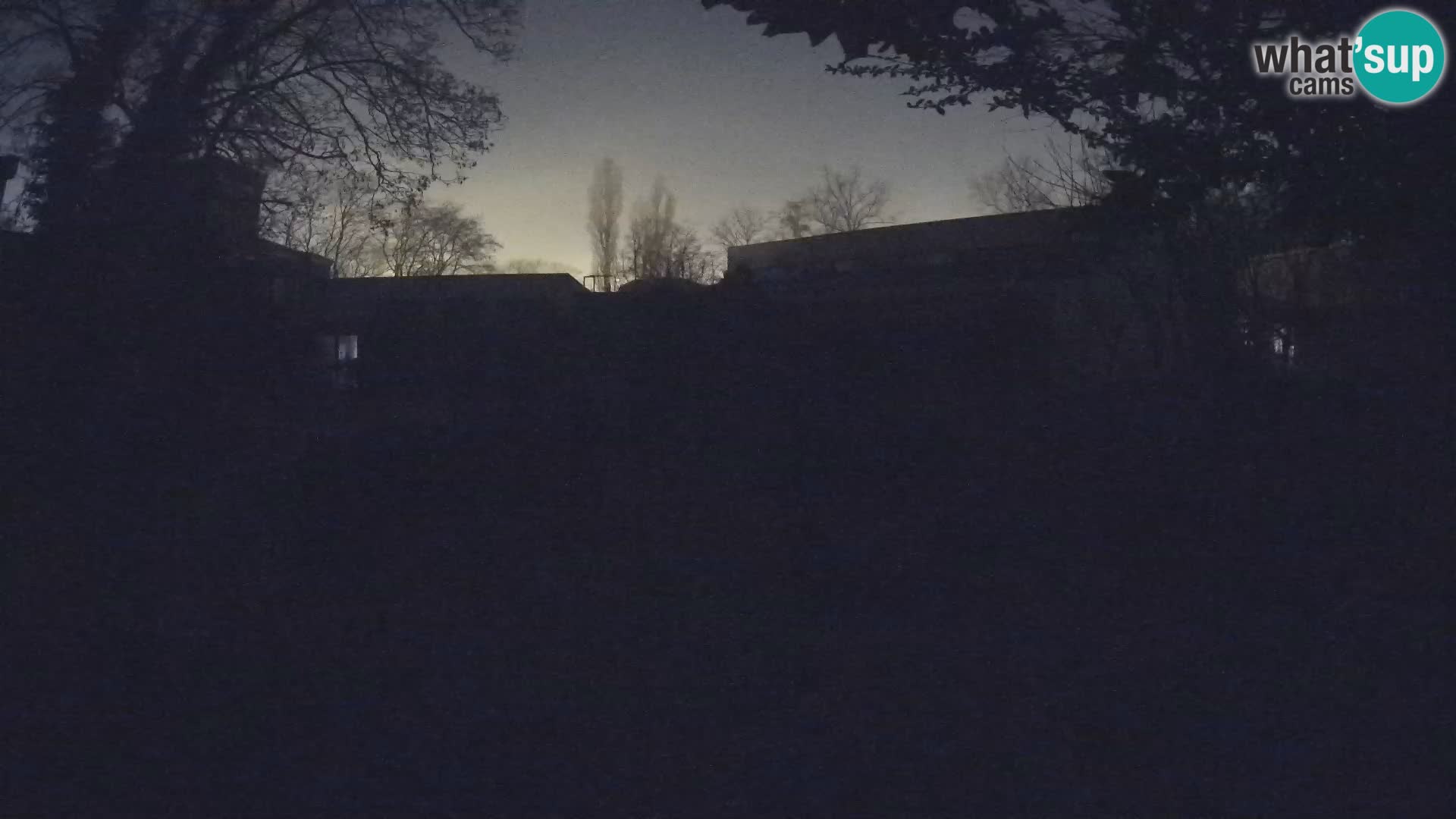 Zoo Zagreb – Suricata