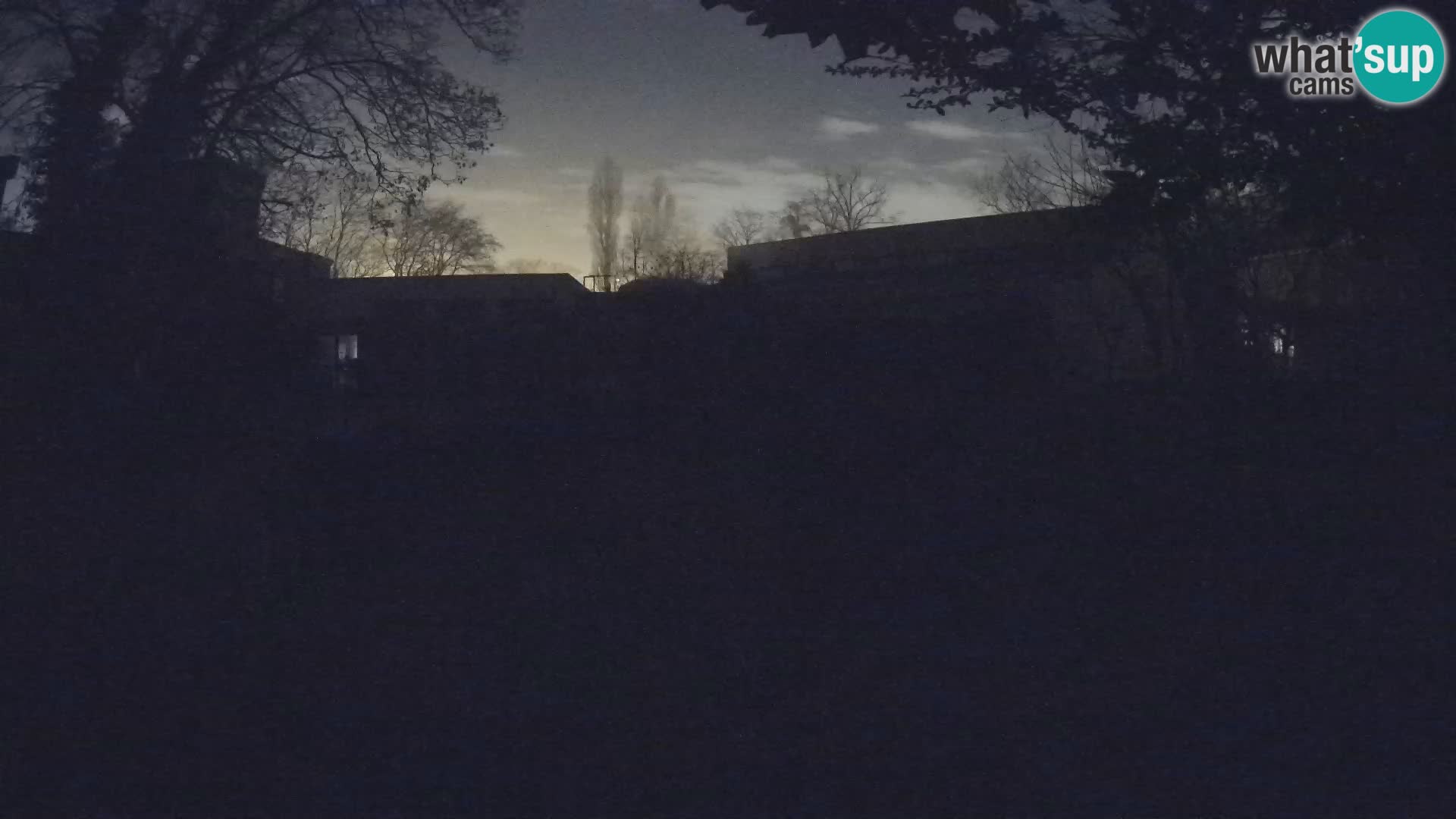 Zoo Zagreb – Suricate