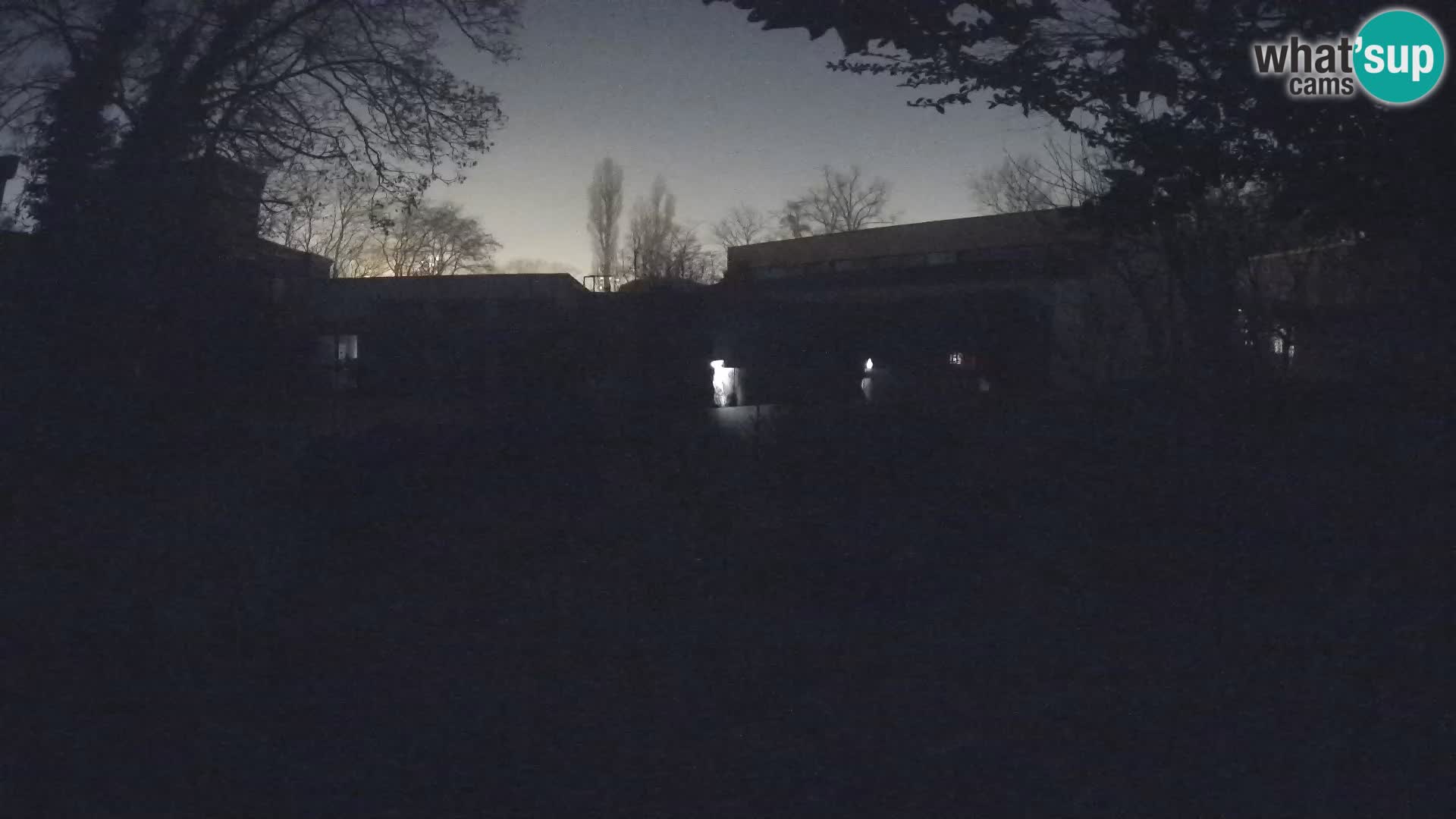 Zoo Zagreb – Surikate