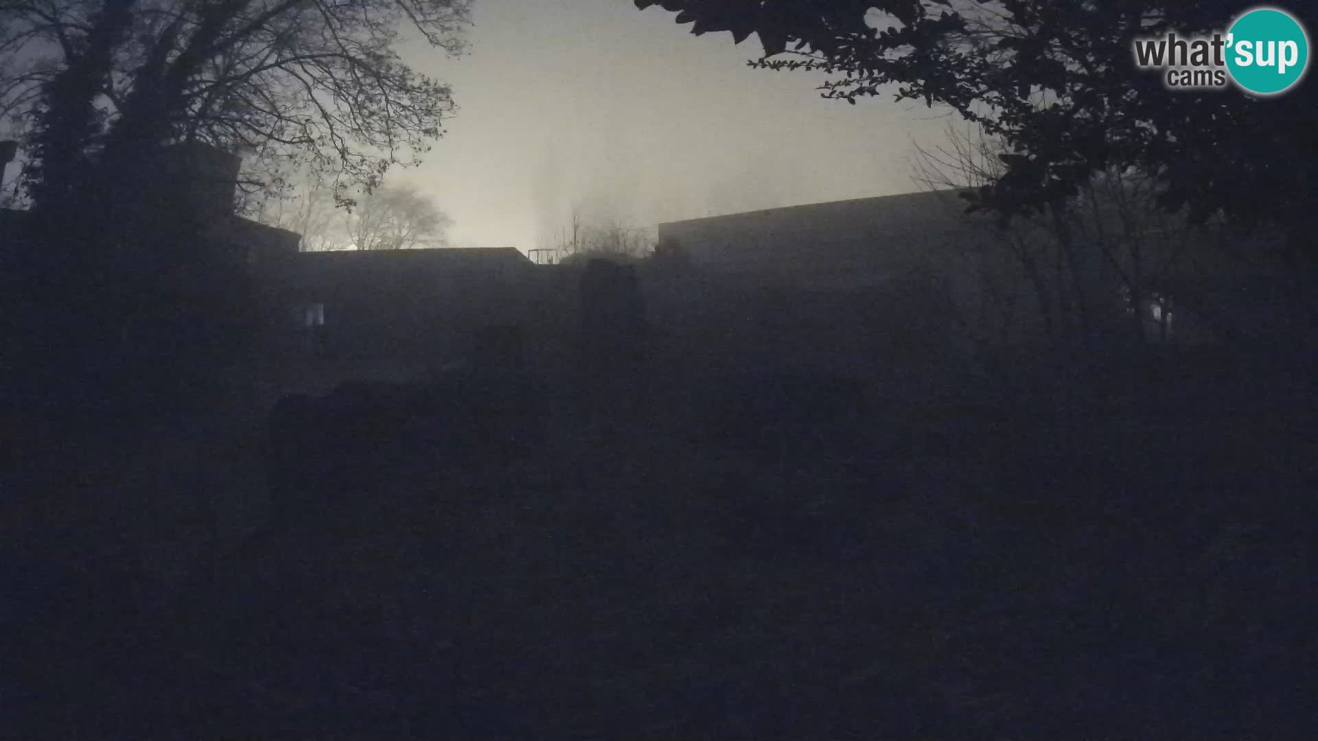 Zoo Zagreb – Merkat