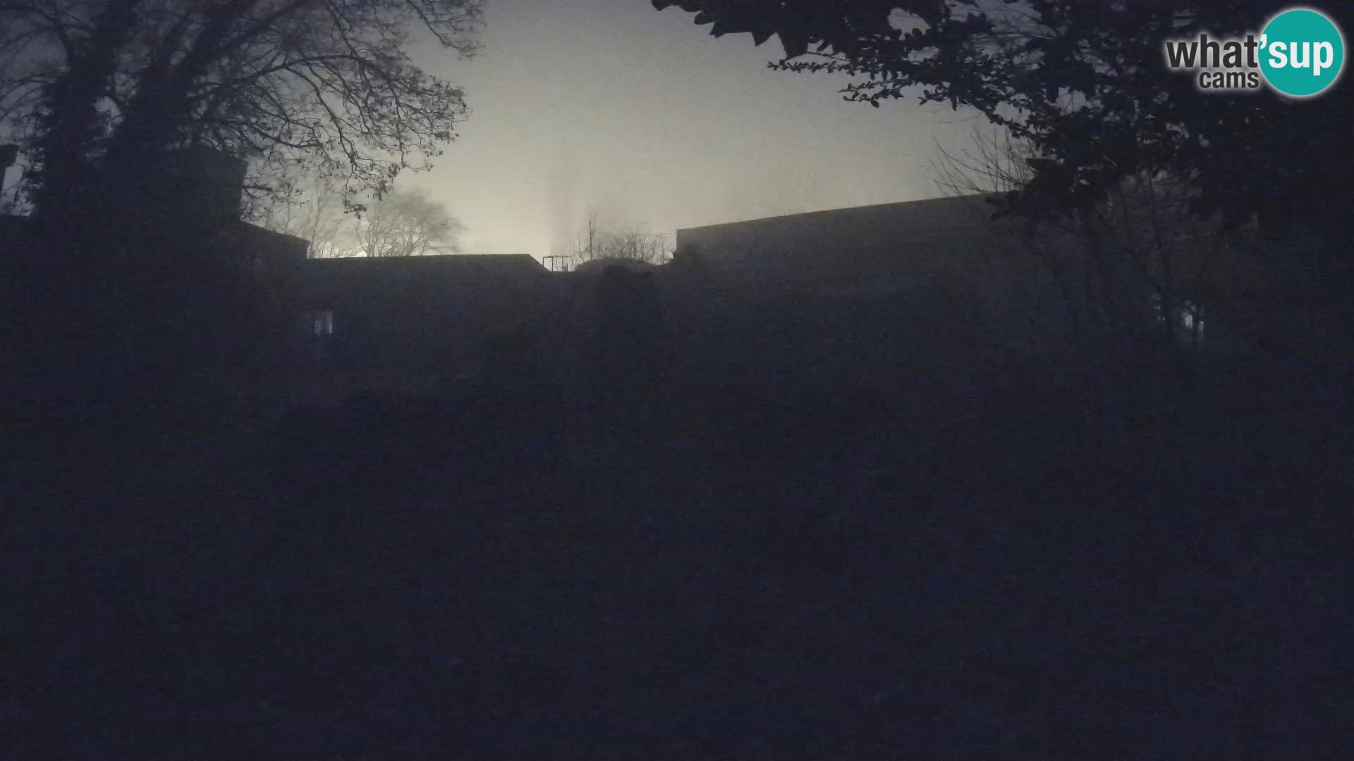 Zoo Zagreb – Suricata