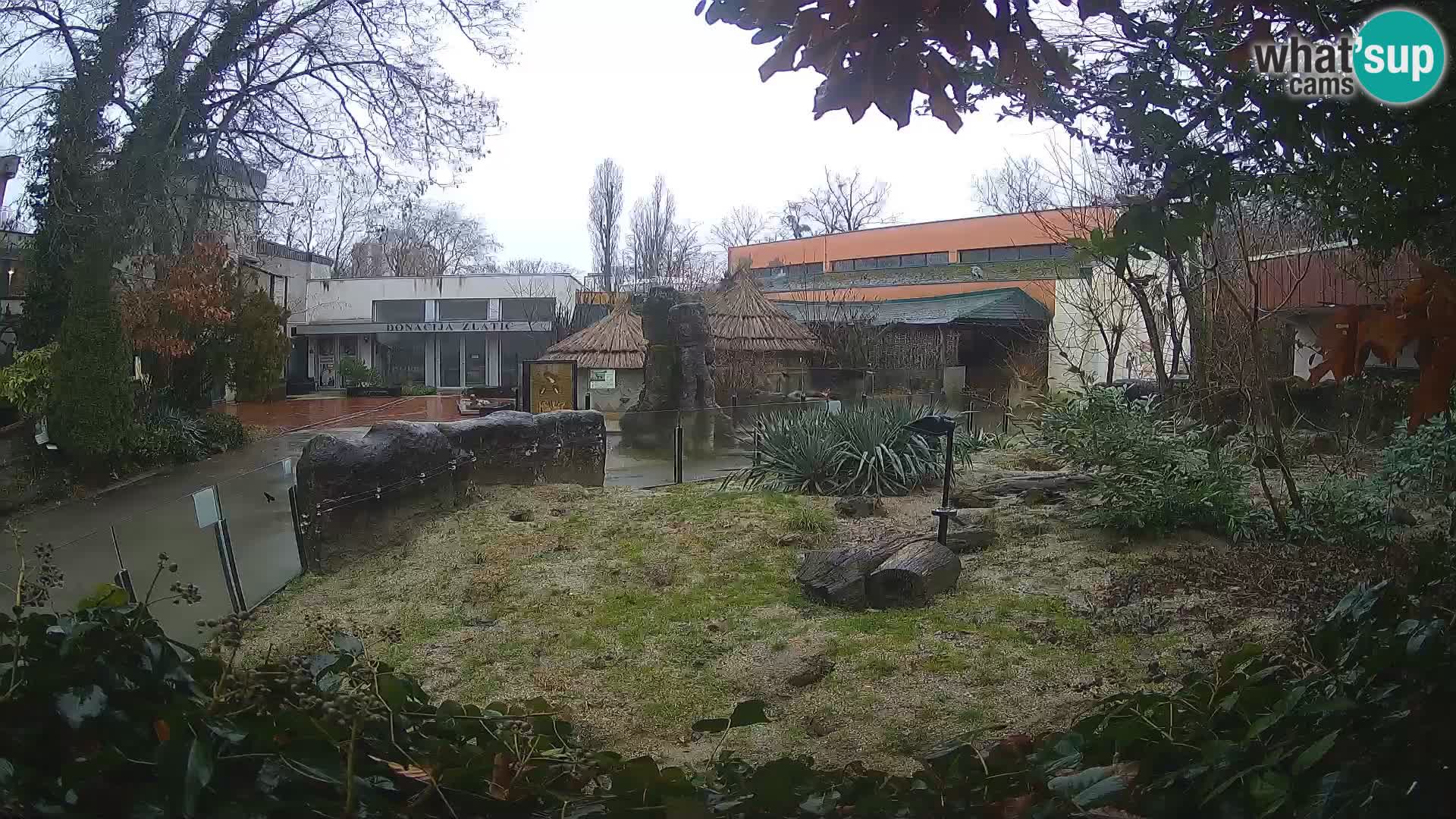 Zoo Zagreb – Erdmännchen