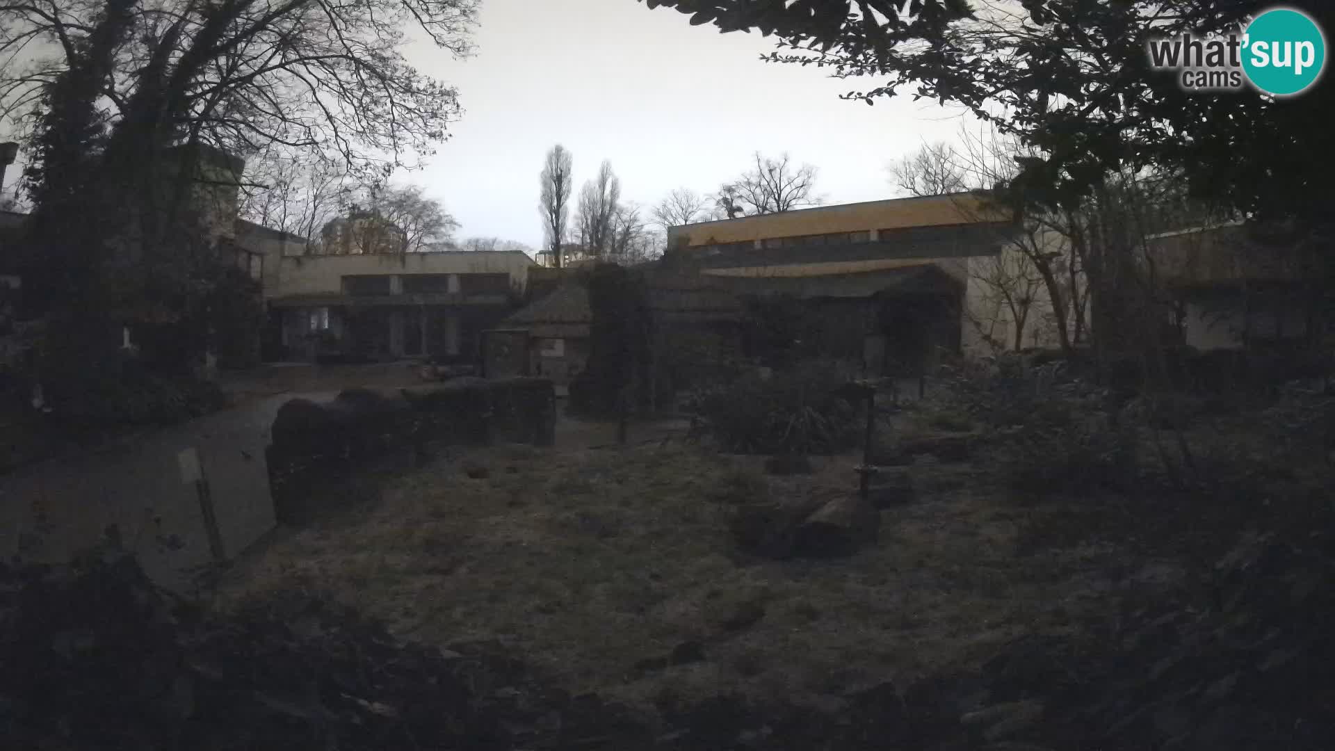 Zoo Zagreb – Erdmännchen