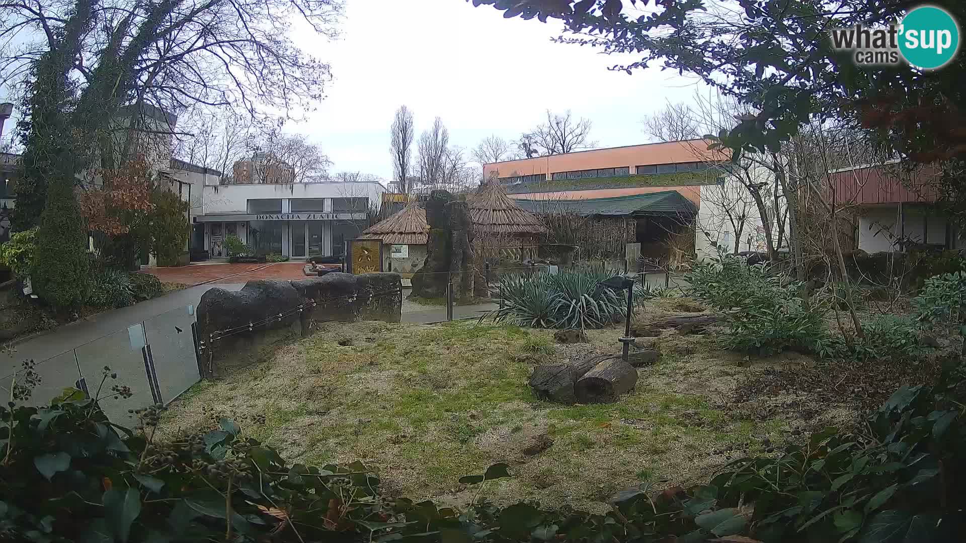 Zoo Zagreb – Erdmännchen