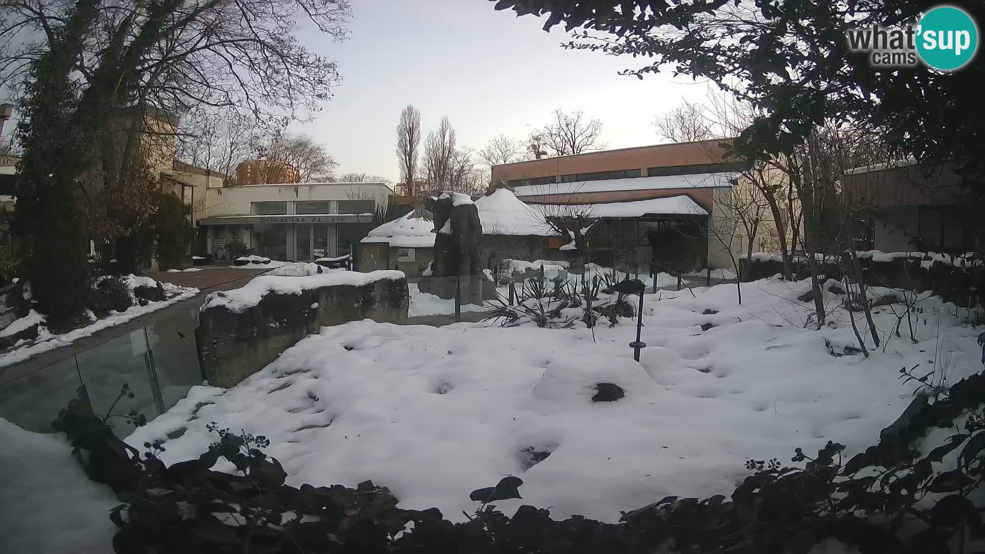 Zoo Zagreb – Merkat