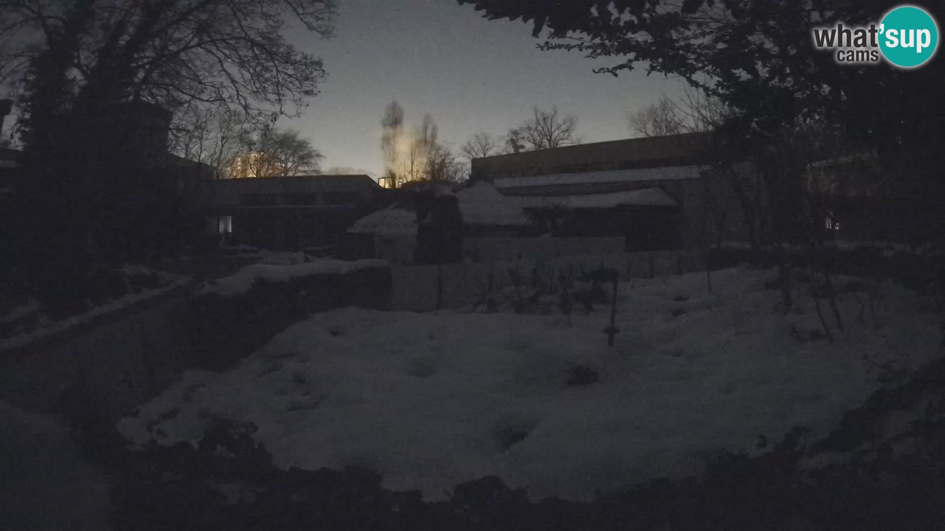 Zoo Zagreb – Merkat