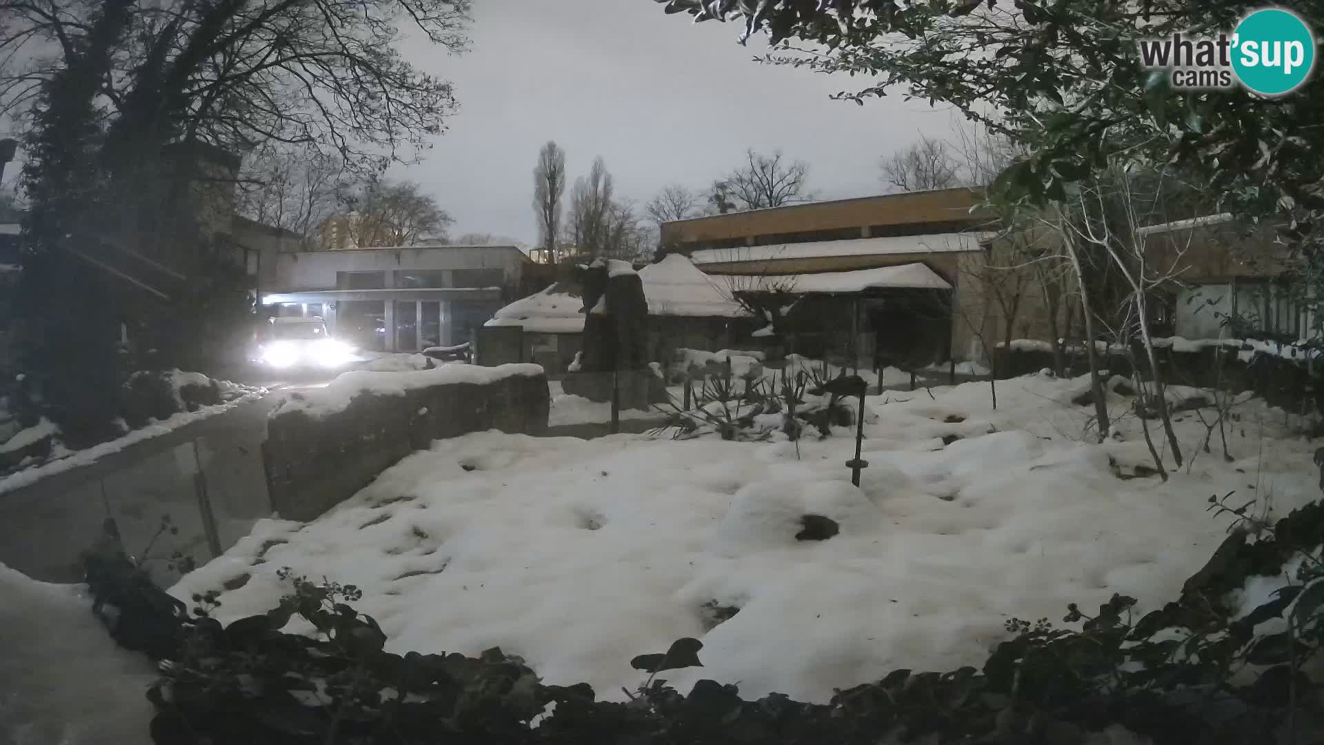 Zoo Zagreb – Erdmännchen