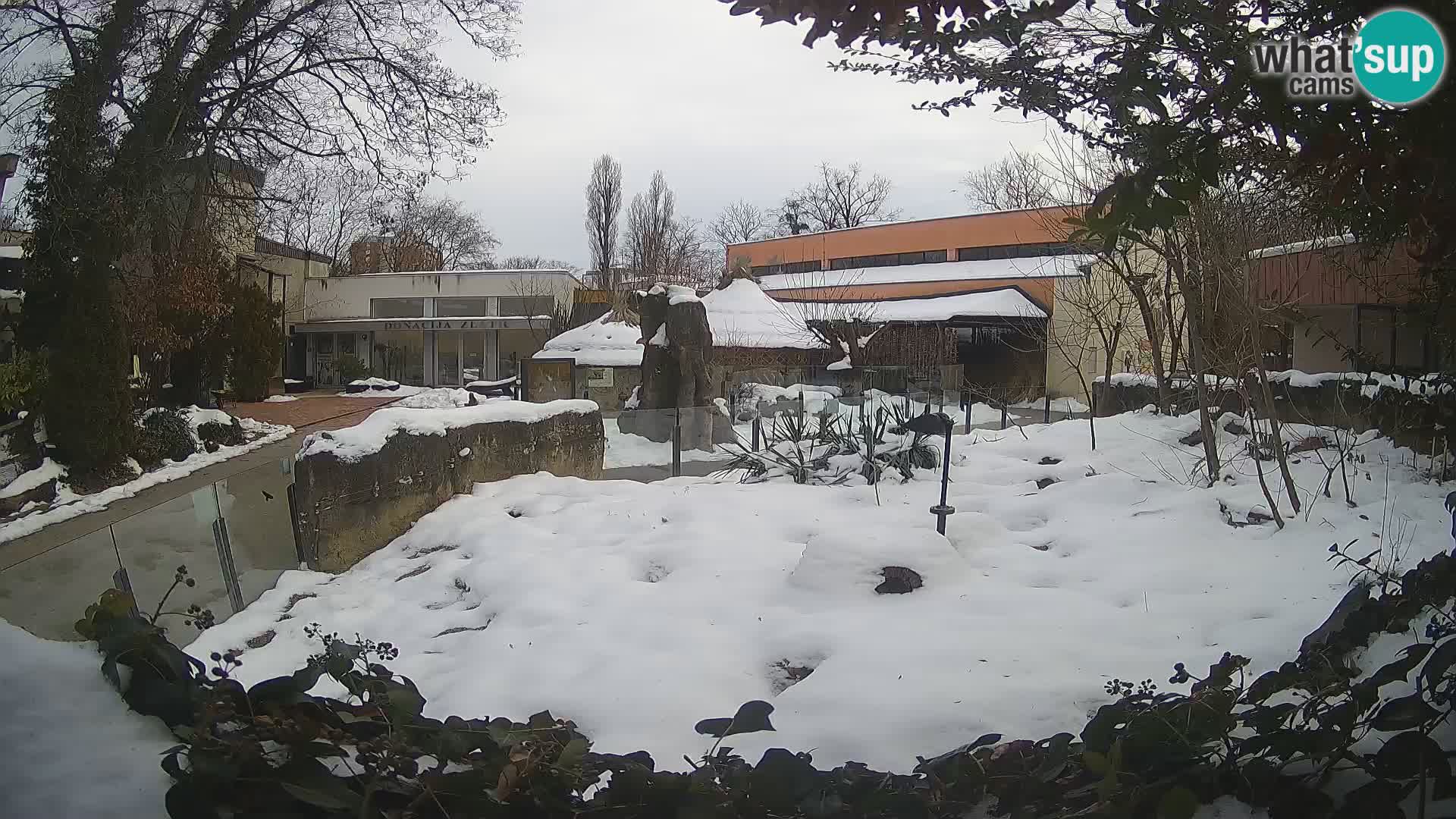 Zoo Zagreb – Surikate